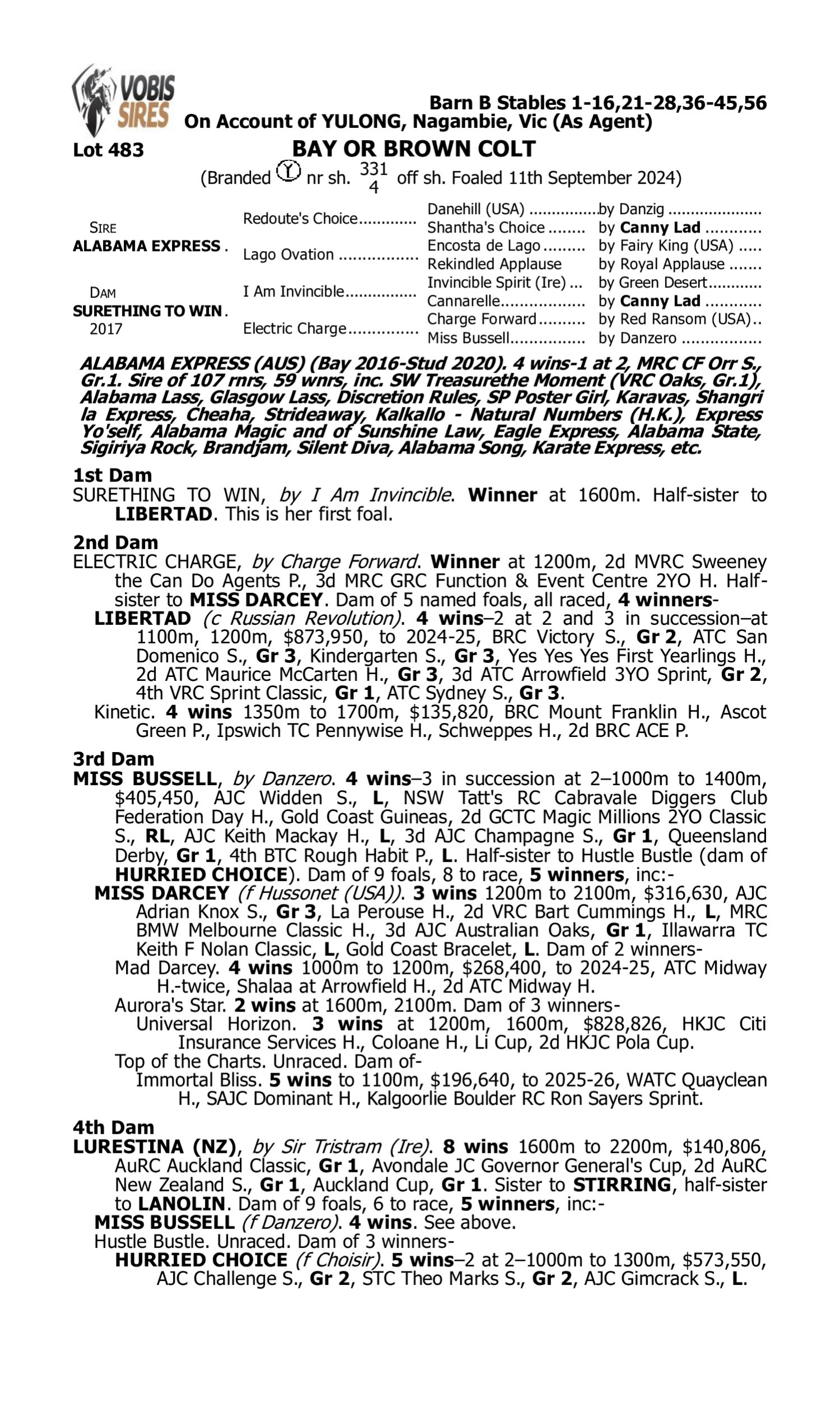 Pedigree for Lot 483 Alabama Express - Surething to Win