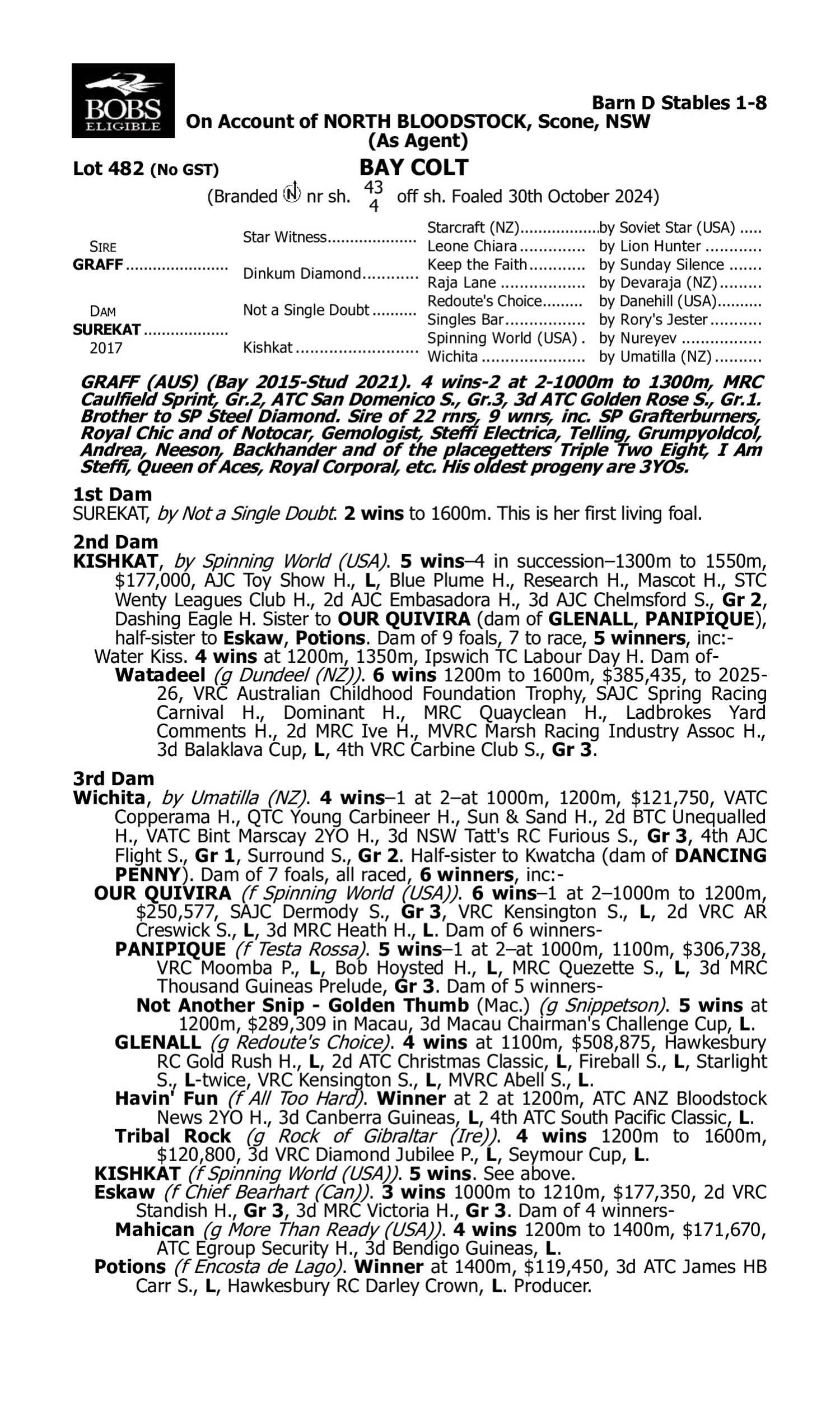 Pedigree for Lot 482 Graff - Surekat