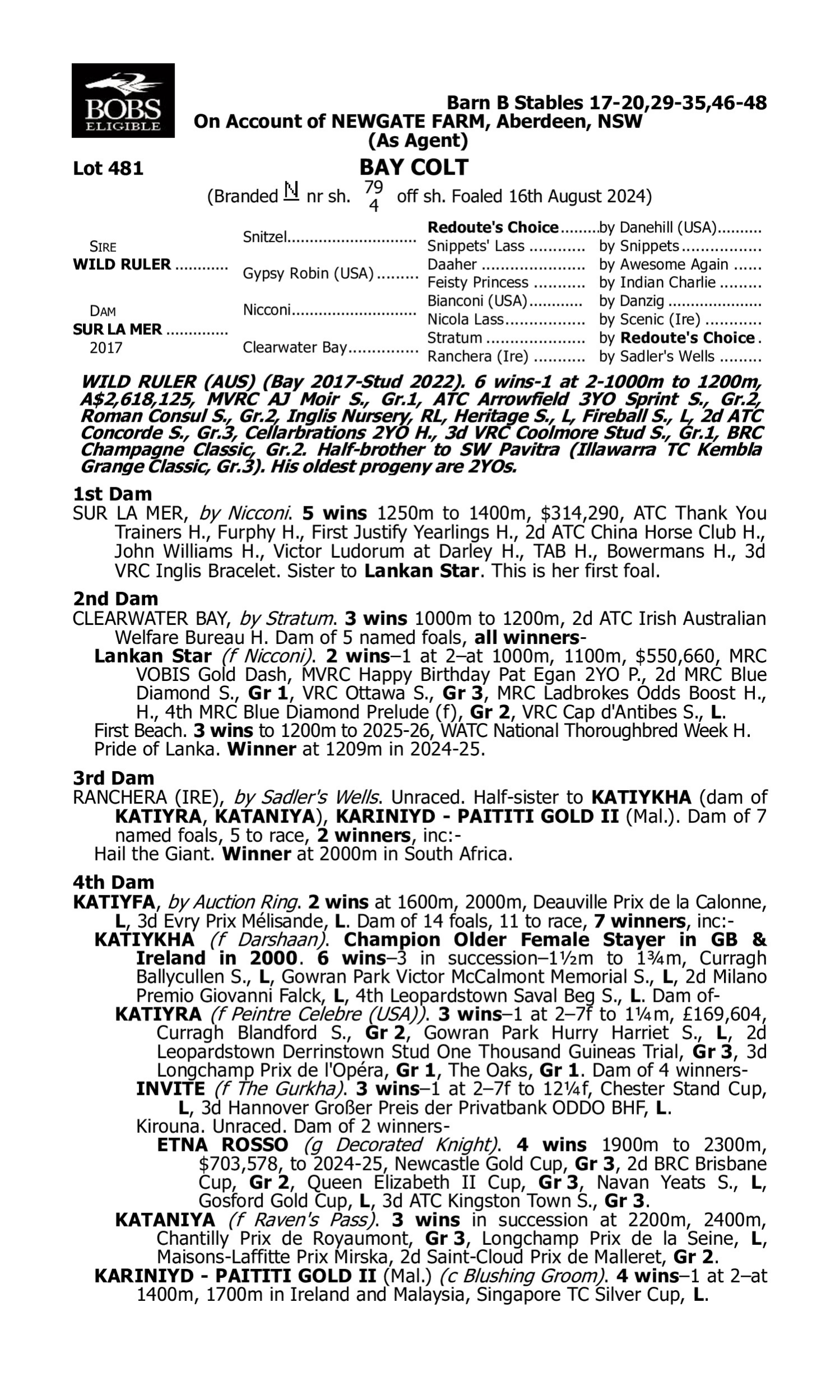 Pedigree for Lot 481 Wild Ruler - Sur la Mer