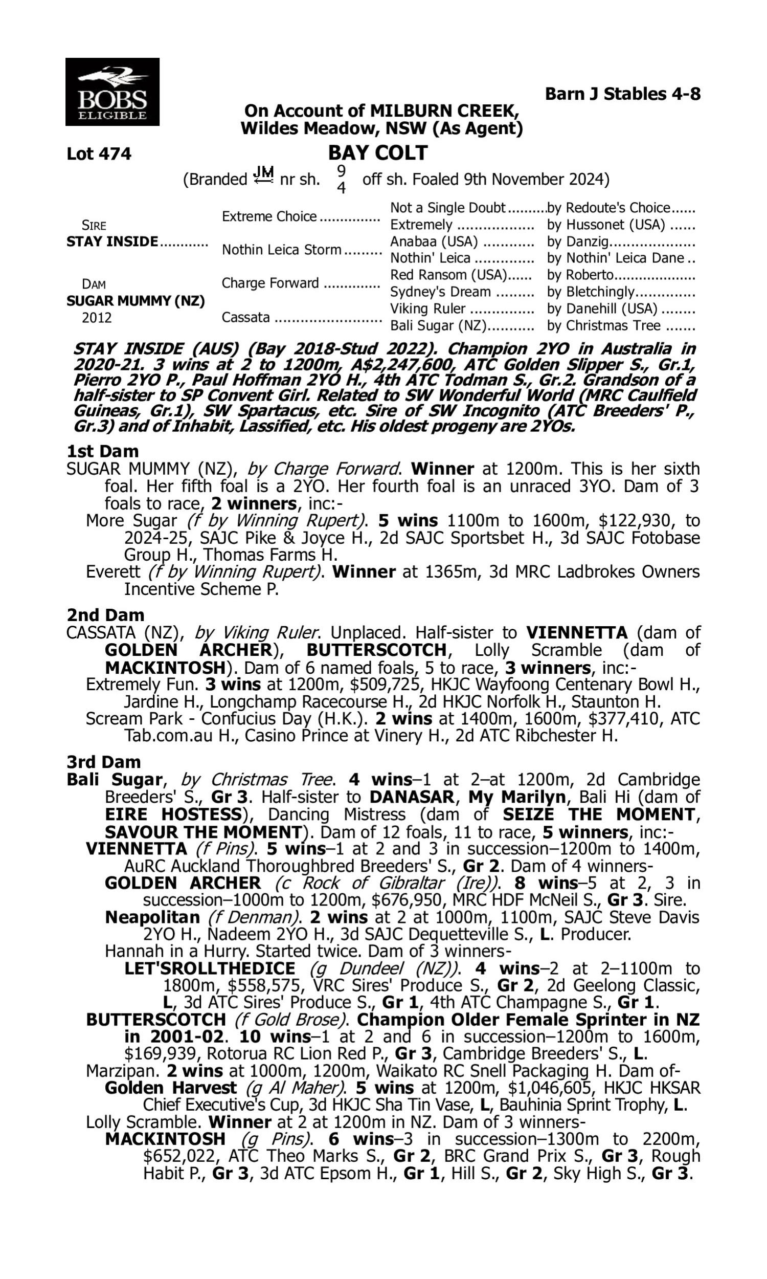 Pedigree for Lot 474 Stay Inside - Sugar Mummy (NZ)