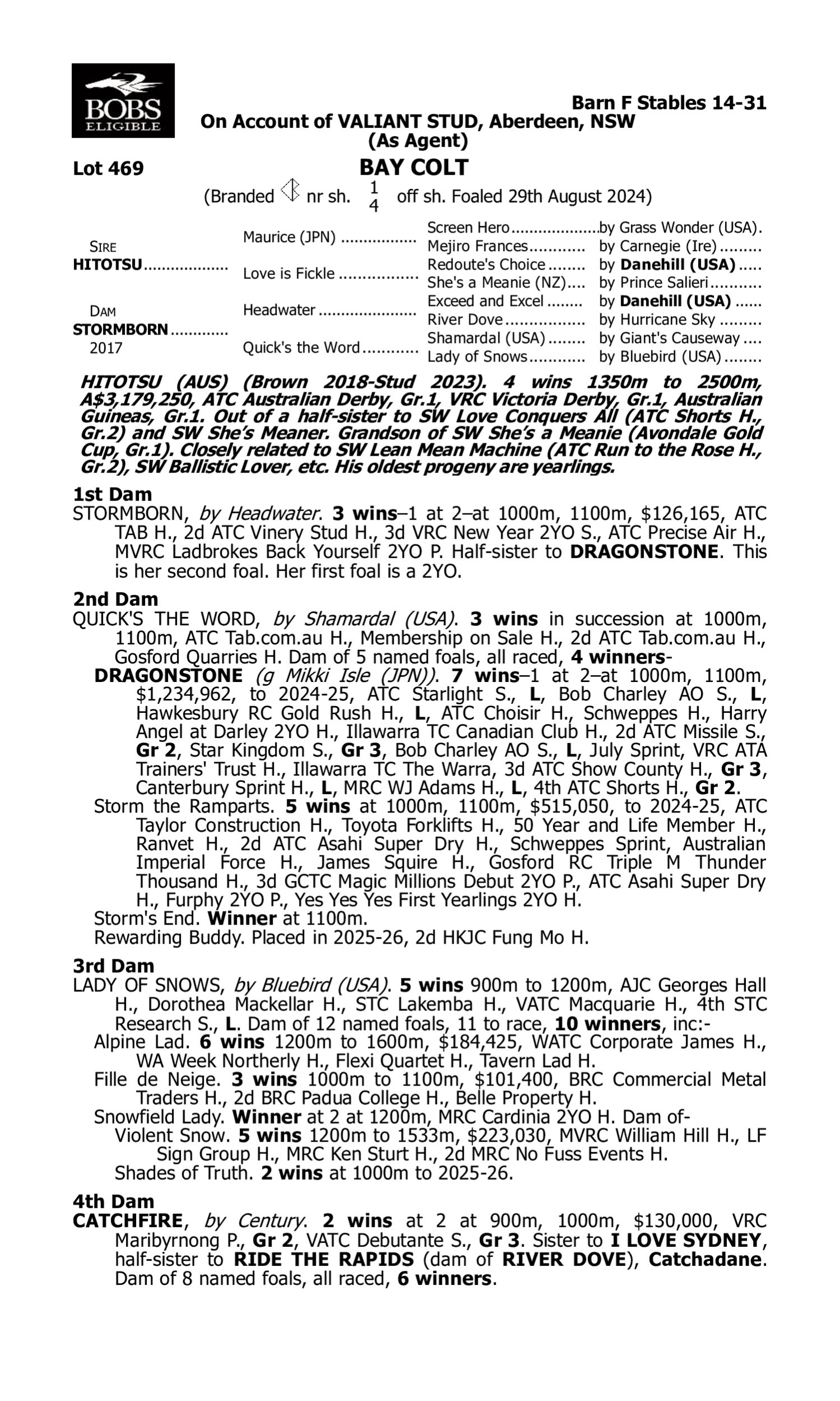 Pedigree for Lot 469 Hitotsu - Stormborn