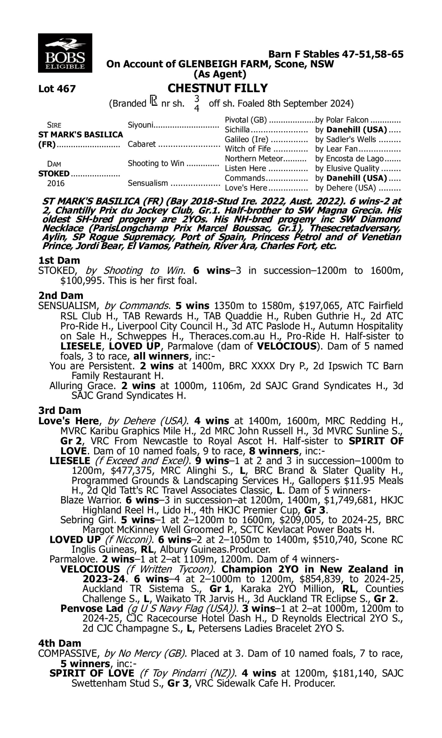Pedigree for Lot 467 St Mark's Basilica (FR) - Stoked