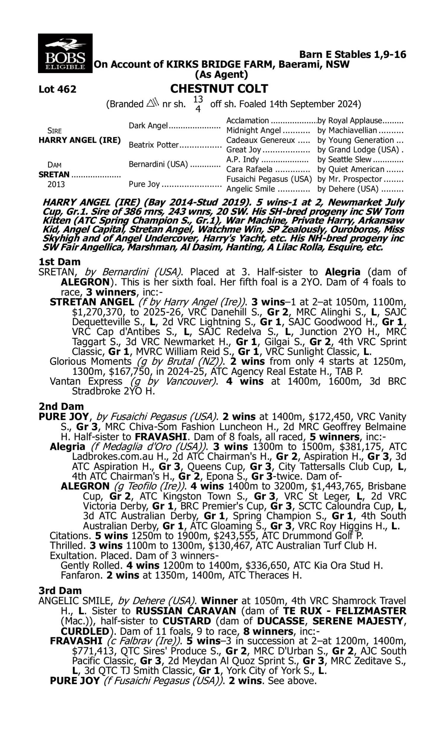 Pedigree for Lot 462 Harry Angel (IRE) - Sretan