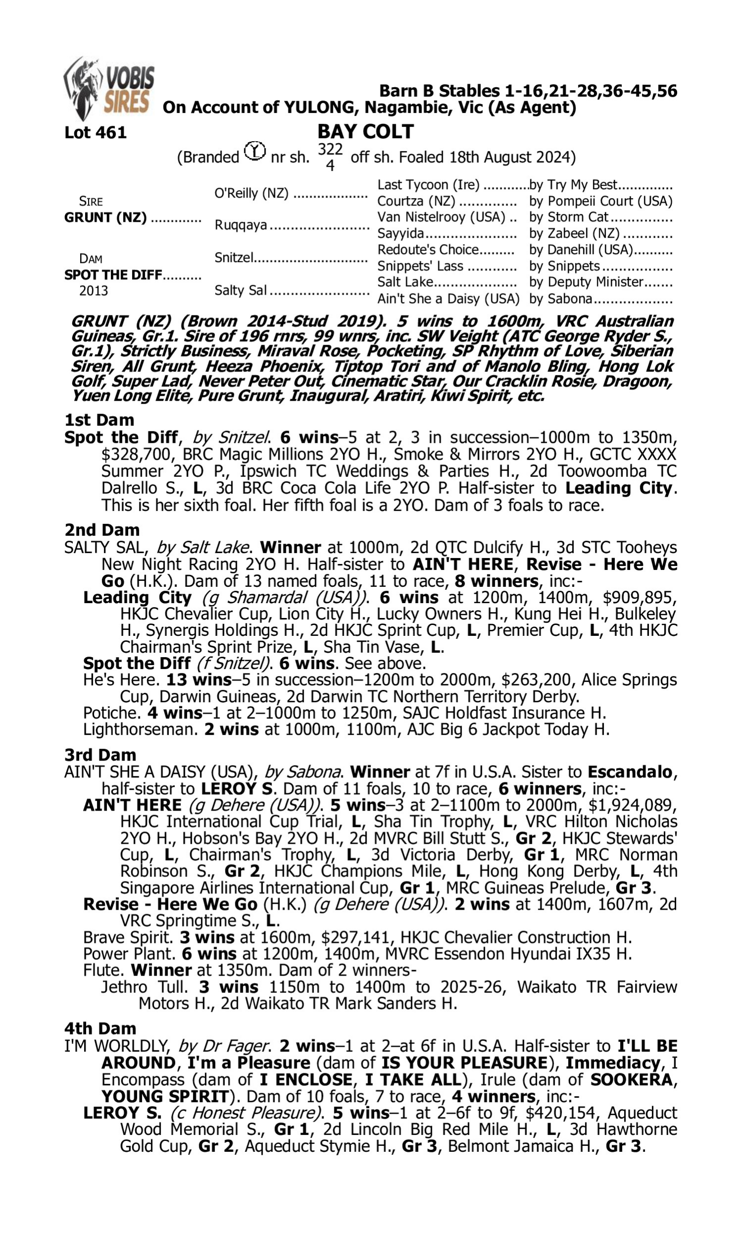 Pedigree for Lot 461 Grunt (NZ) - Spot the Diff