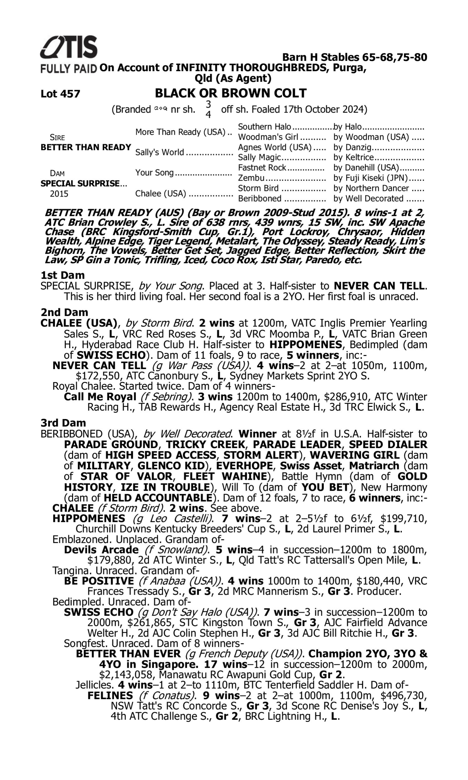 Pedigree for Lot 457 Better Than Ready - Special Surprise