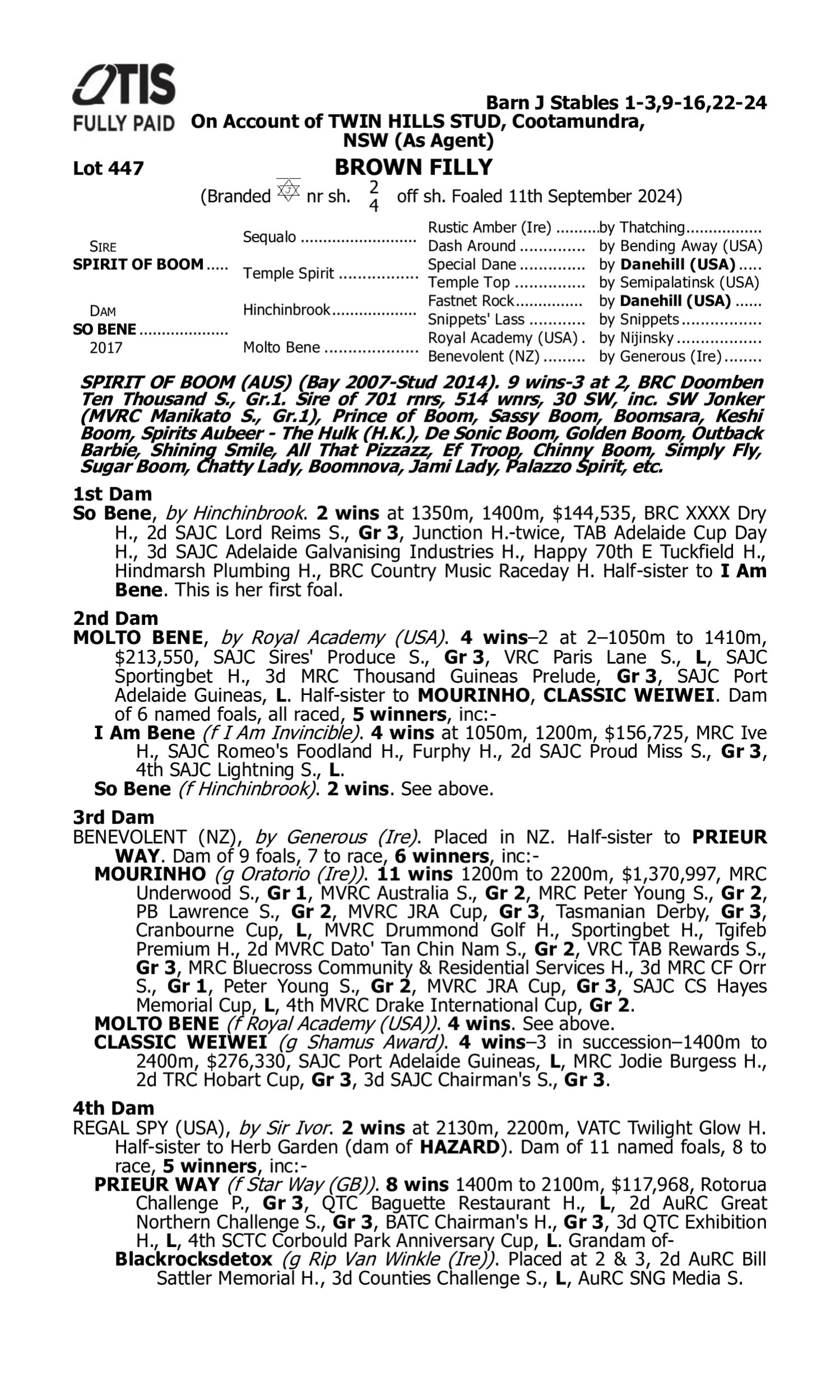 Pedigree for Lot 447 Spirit of Boom - So Bene