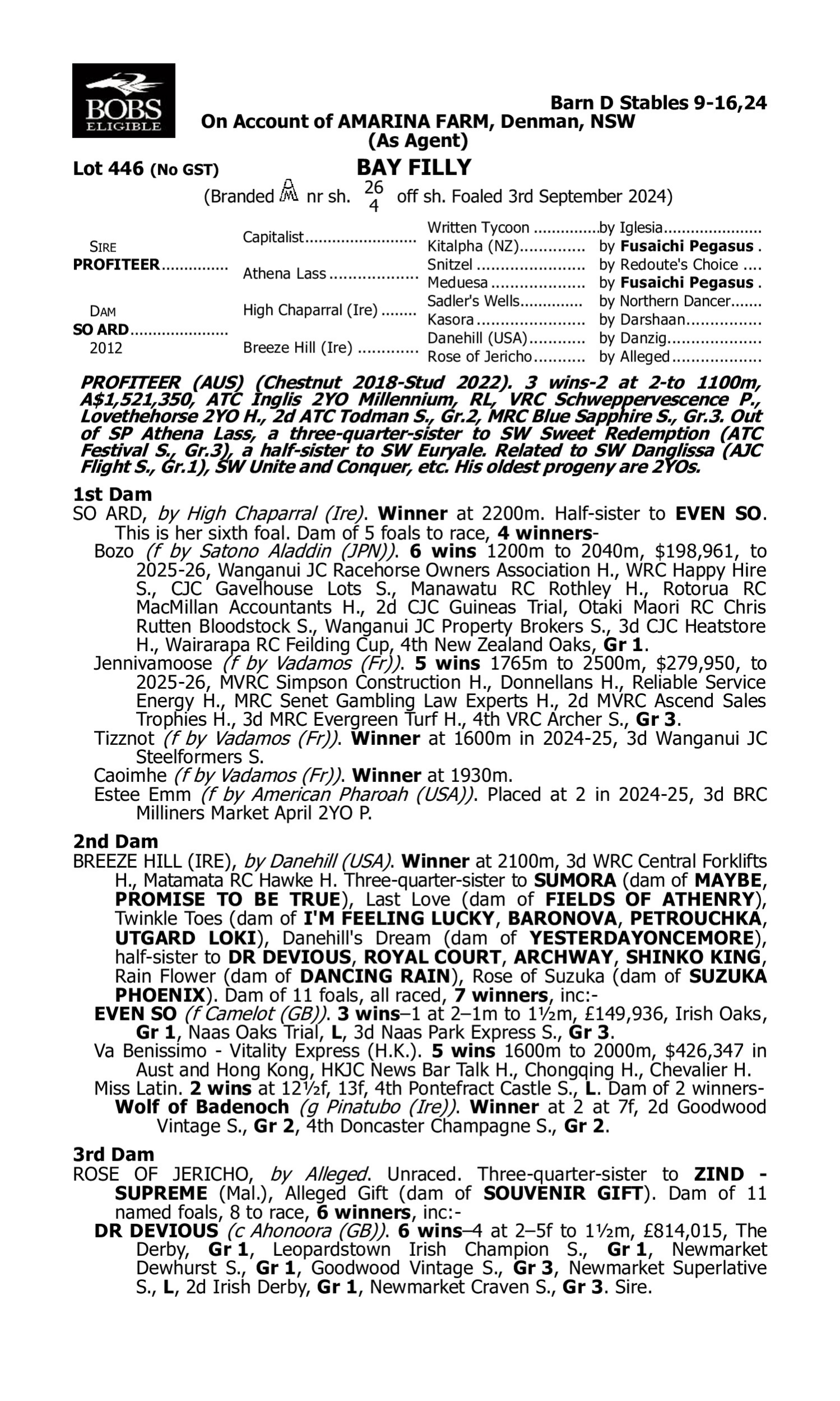 Pedigree for Lot 446 Profiteer - So Ard