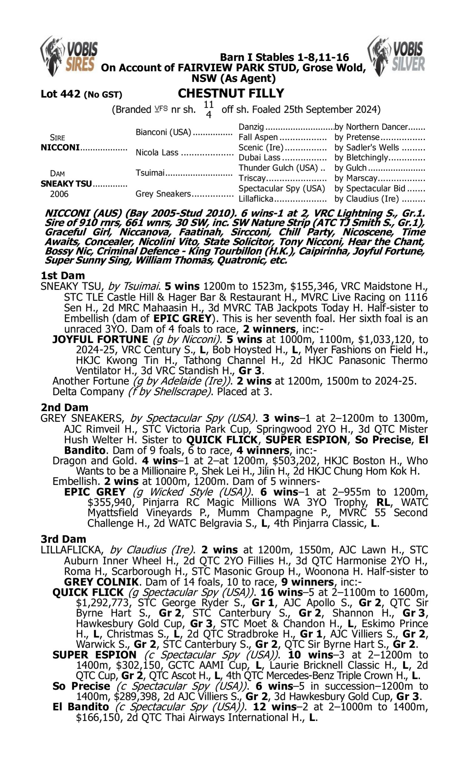 Pedigree for Lot 442 Nicconi - Sneaky Tsu