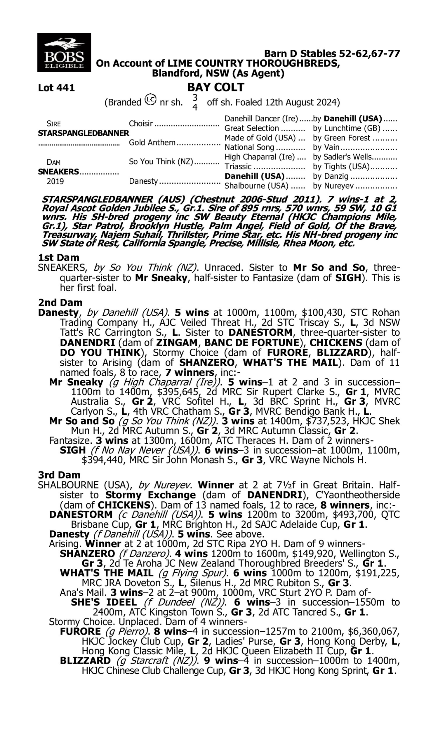 Pedigree for Lot 441 Starspangledbanner - Sneakers
