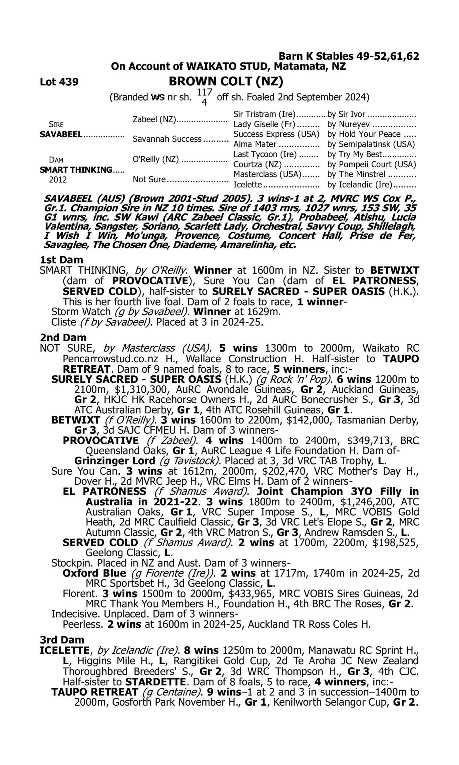 Pedigree for Lot 439 Savabeel - Smart Thinking (NZ)