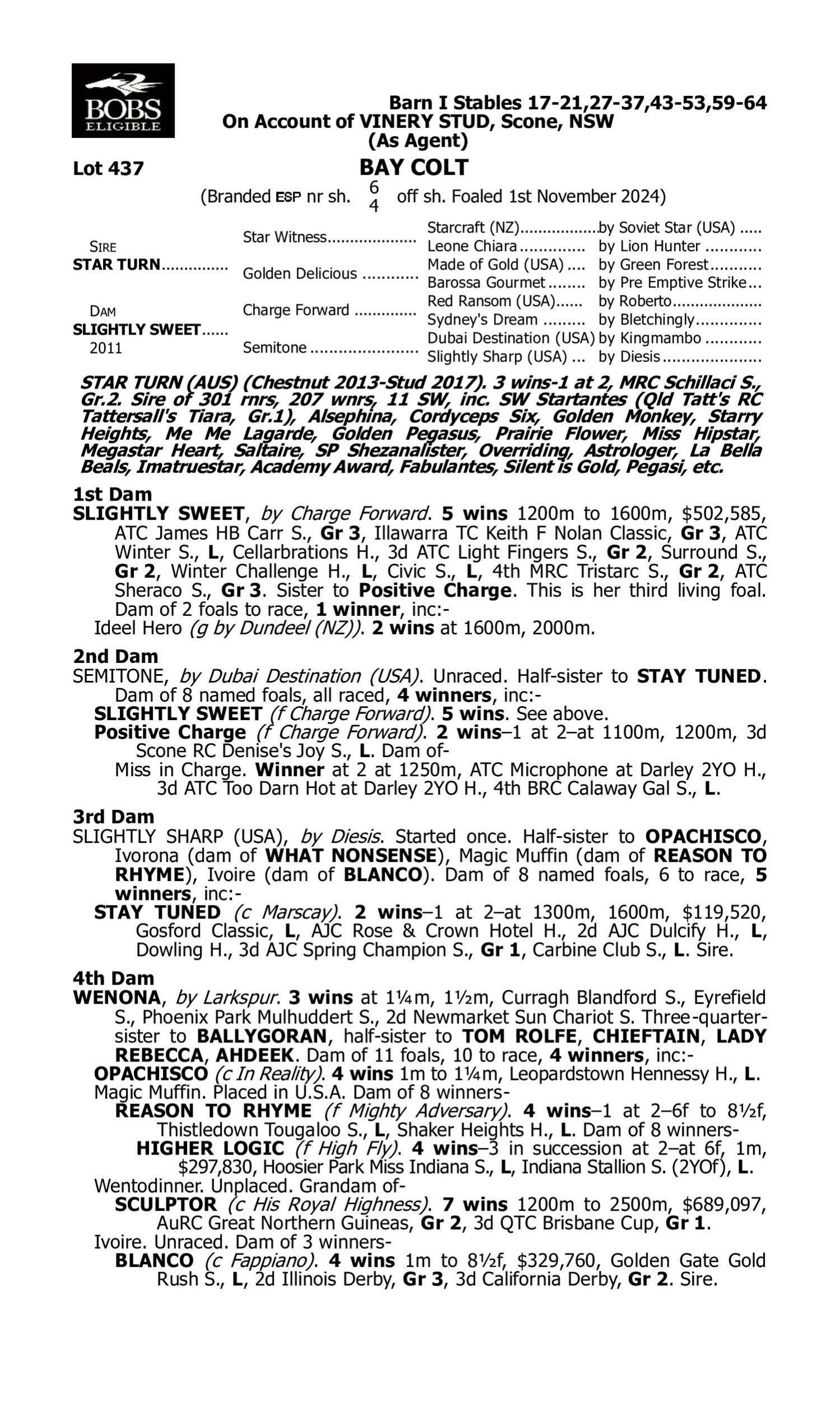 Pedigree for Lot 437 Star Turn - Slightly Sweet