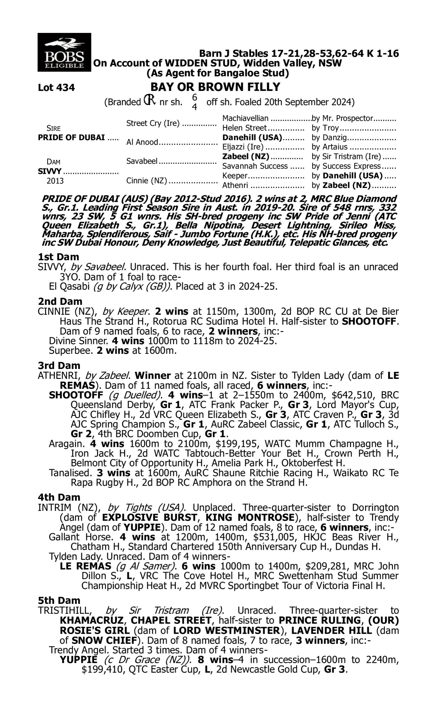 Pedigree for Lot 434 Pride of Dubai - Sivvy