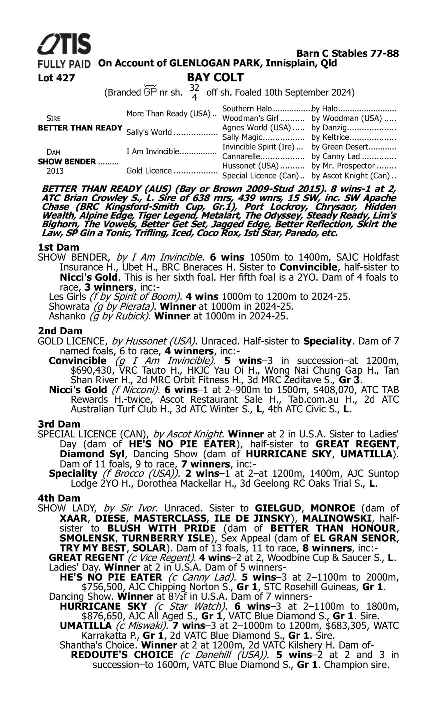 Pedigree for Lot 427 Better Than Ready - Show Bender