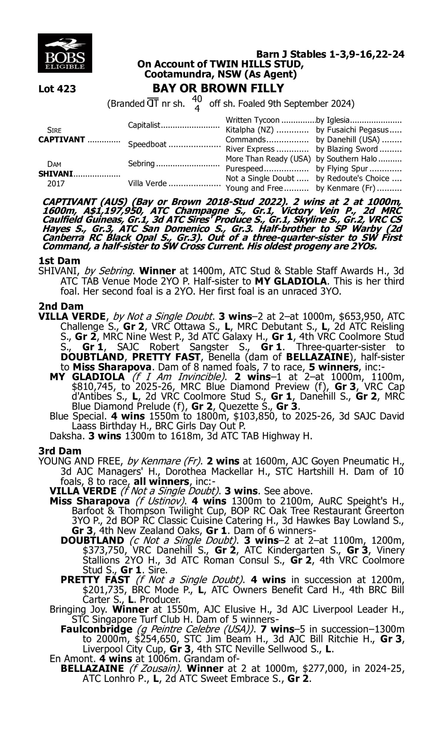 Pedigree for Lot 423 Captivant - Shivani