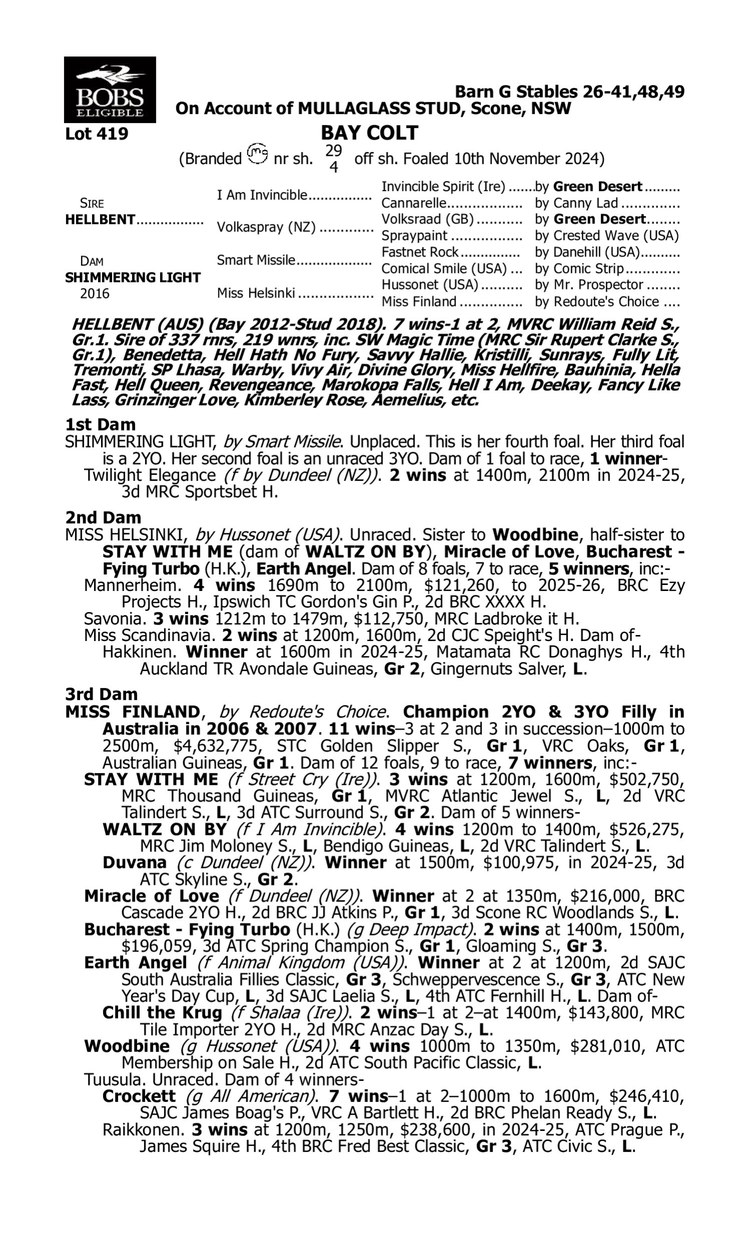Pedigree for Lot 419 Hellbent - Shimmering Light