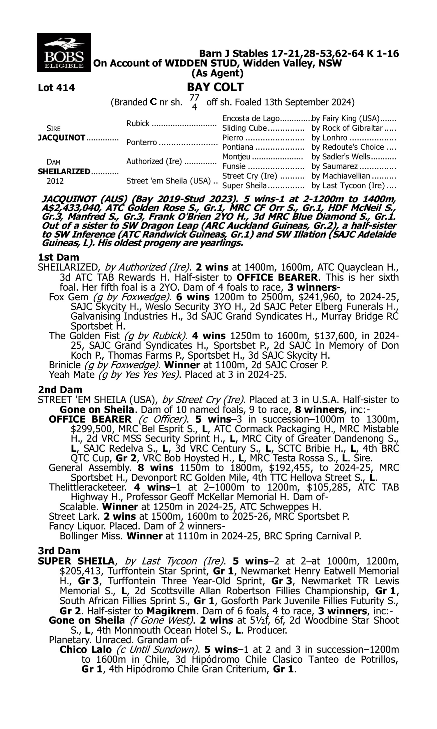 Pedigree for Lot 414 Jacquinot - Sheilarized