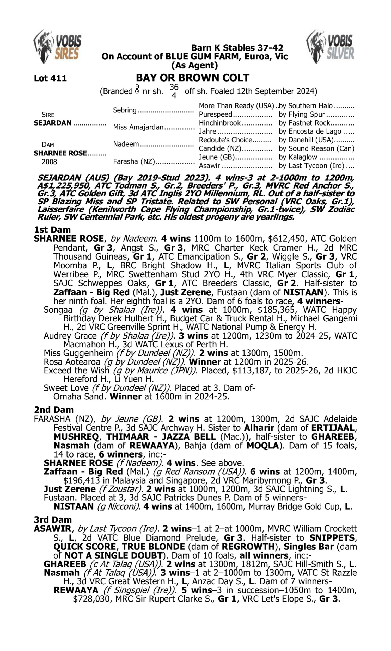 Pedigree for Lot 411 Sejardan - Sharnee Rose