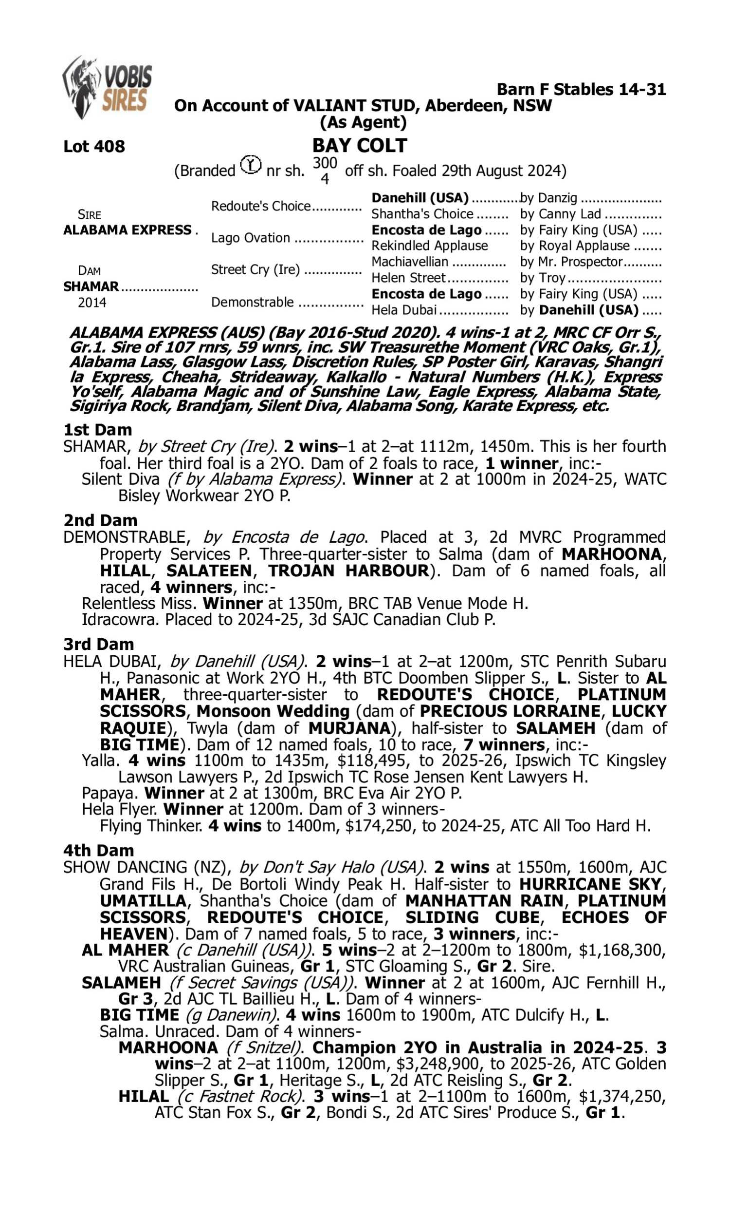 Pedigree for Lot 408 Alabama Express - Shamar