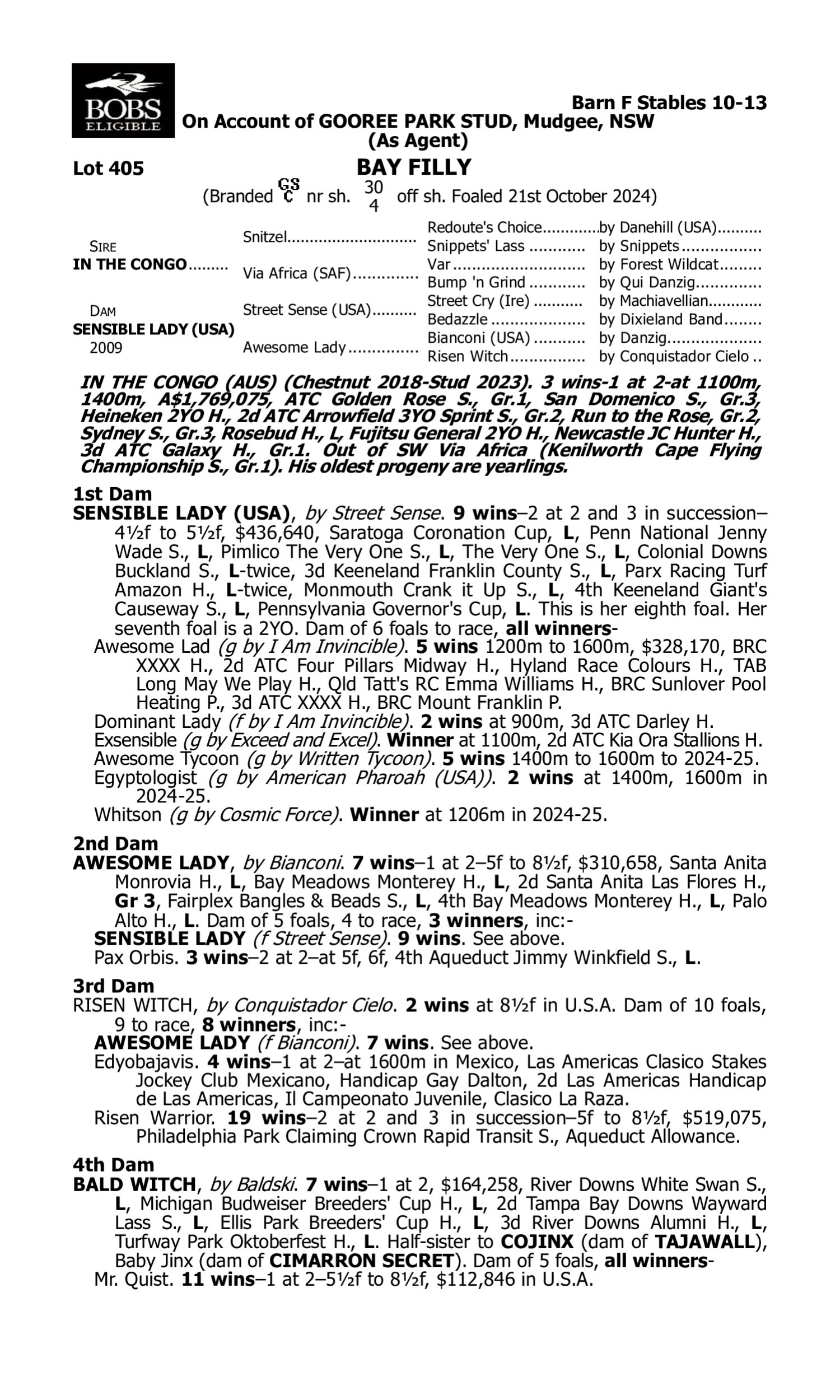 Pedigree for Lot 405 In the Congo - Sensible Lady (USA)