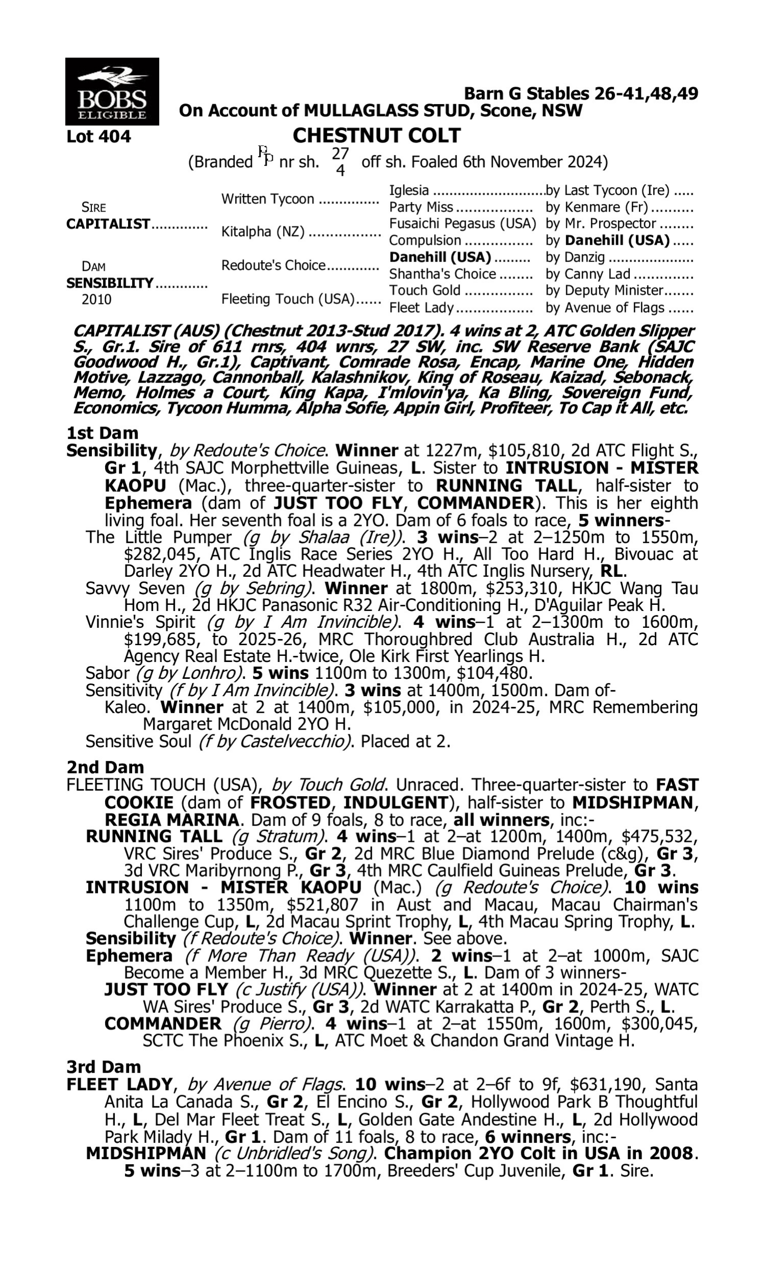 Pedigree for Lot 404 Capitalist - Sensibility