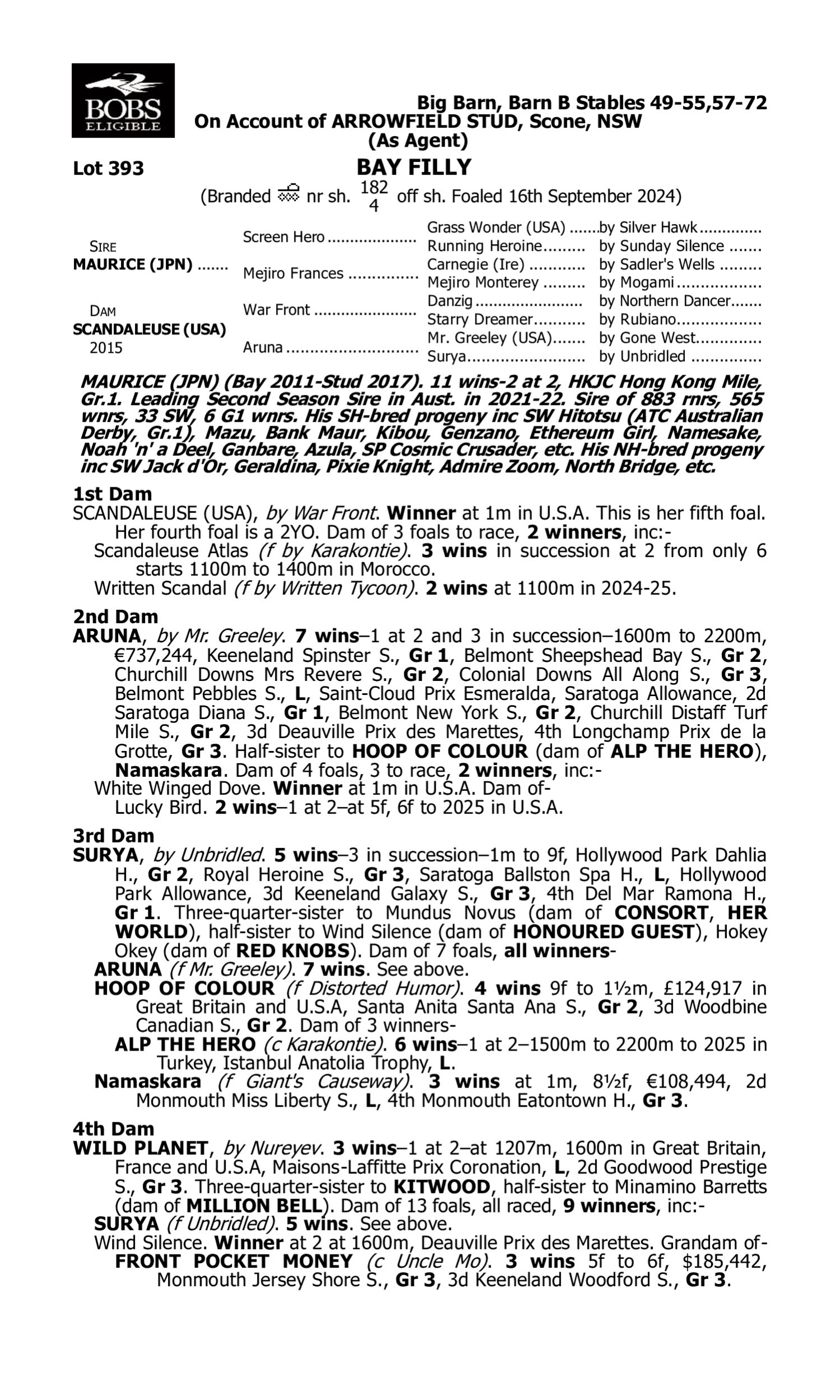 Pedigree for Lot 393 Maurice (JPN) - Scandaleuse (USA)