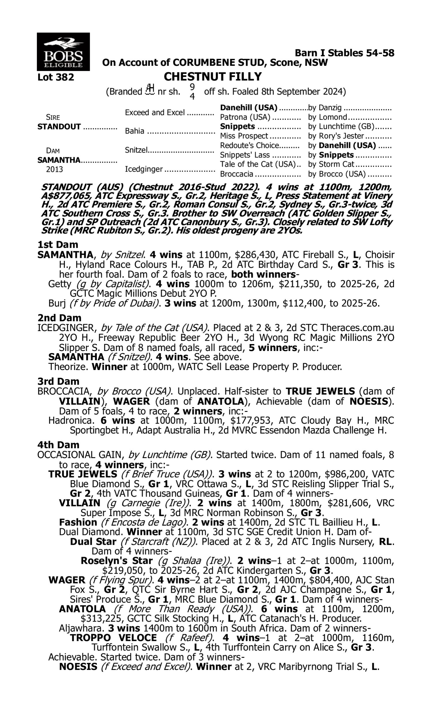 Pedigree for Lot 382 Standout - Samantha