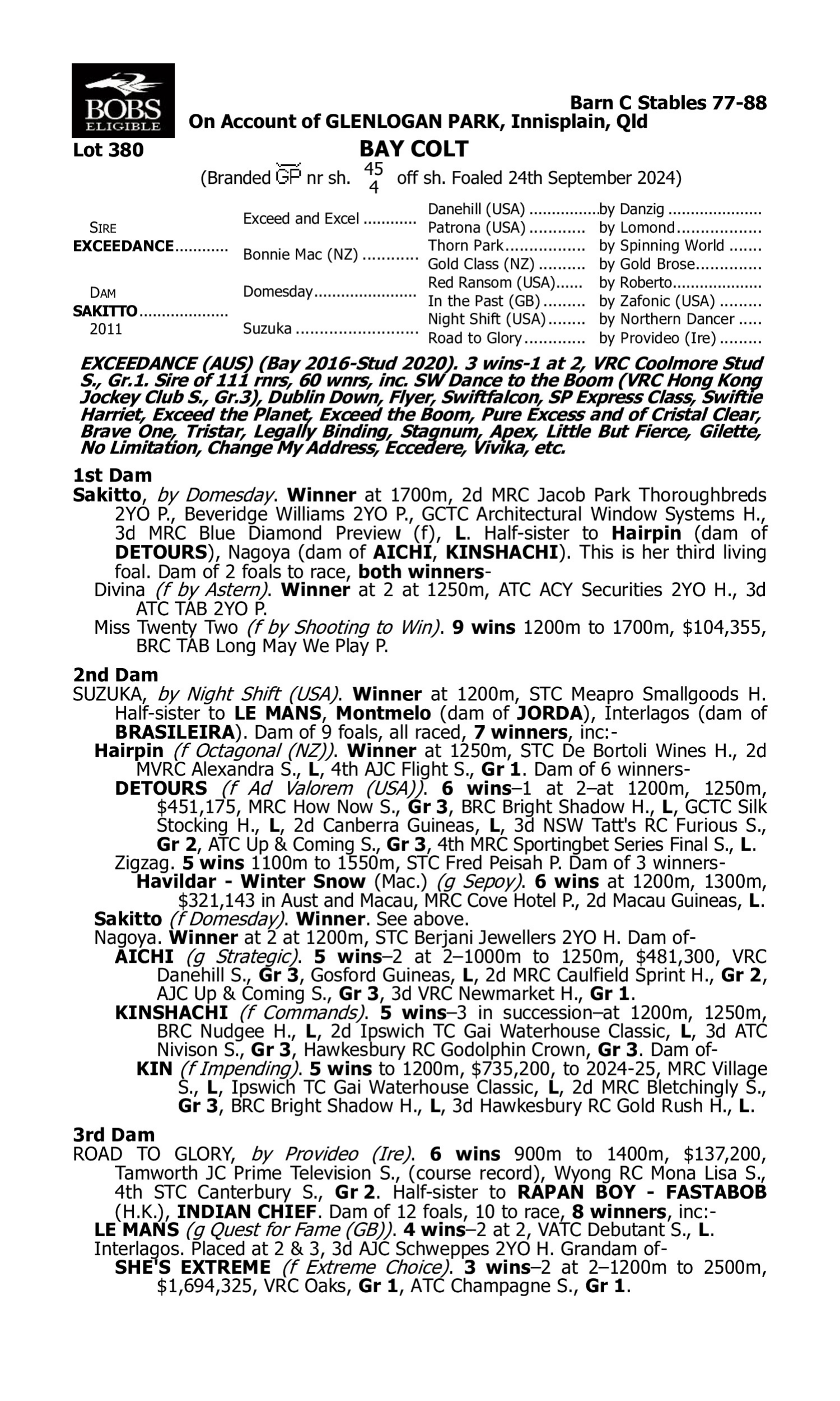 Pedigree for Lot 380 Exceedance - Sakitto