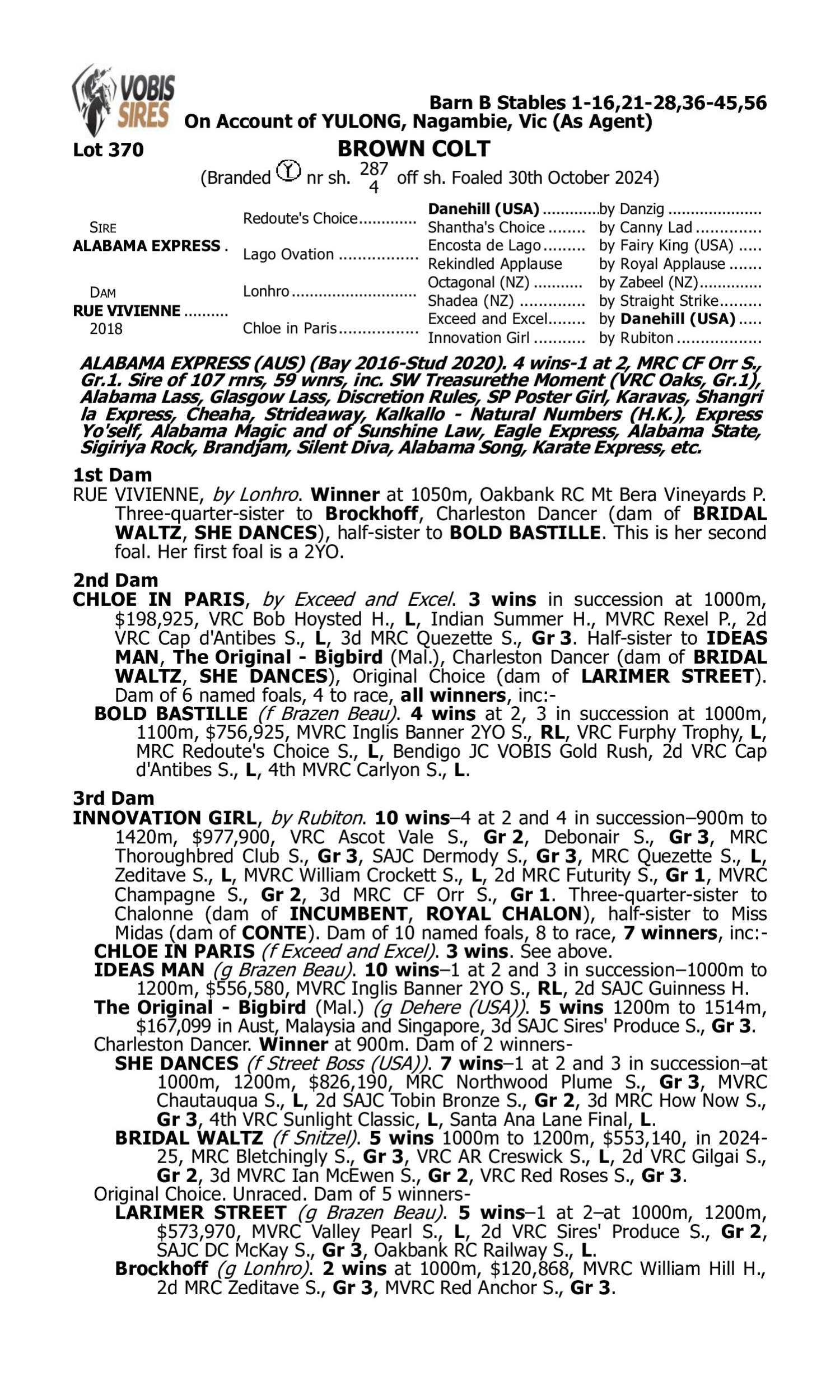 Pedigree for Lot 370 Alabama Express - Rue Vivienne