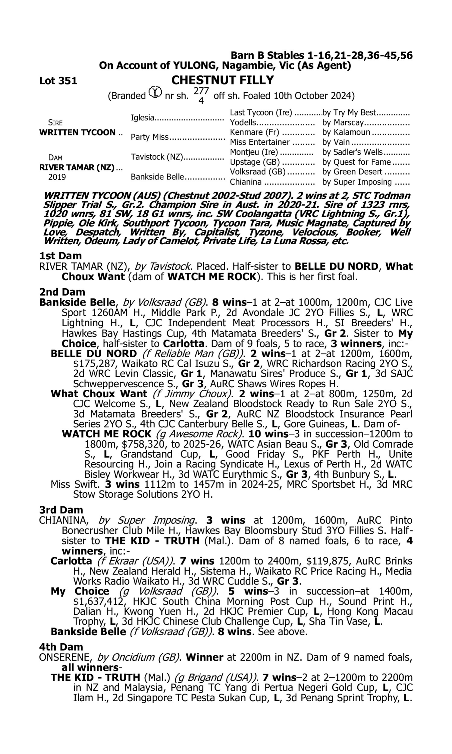 Pedigree for Lot 351 Written Tycoon - River Tamar (NZ)