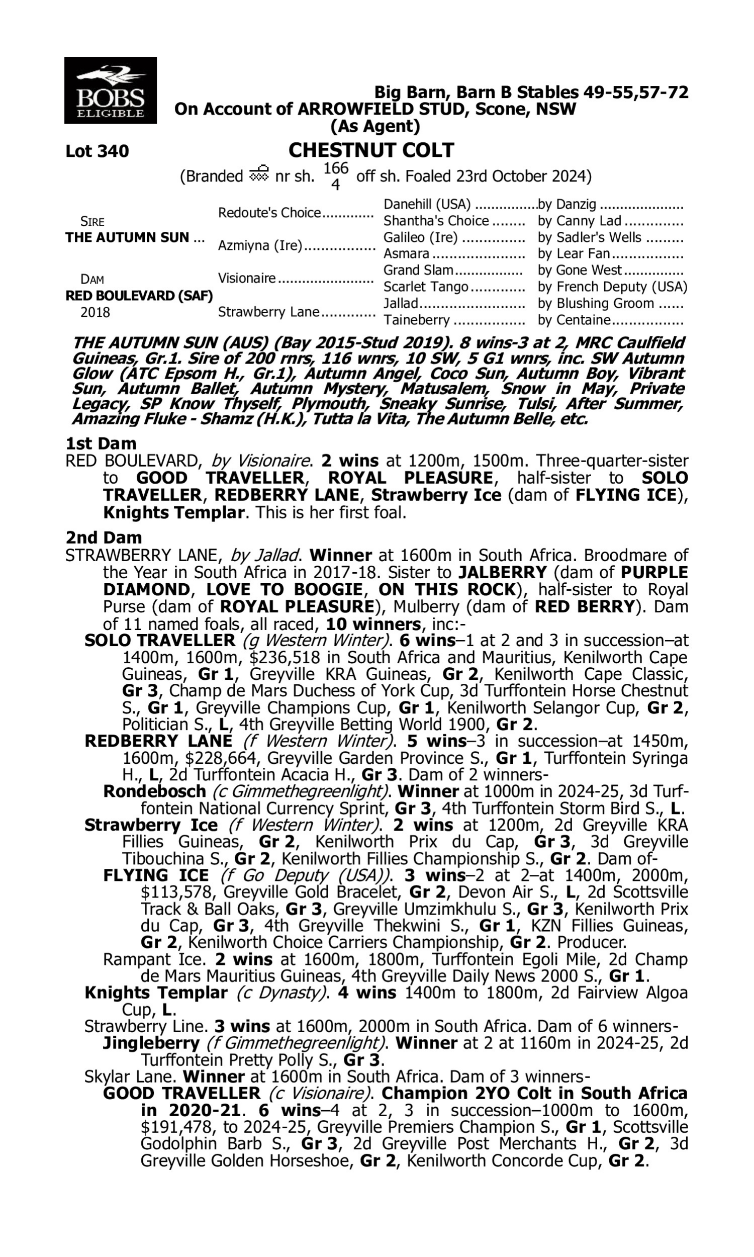 Pedigree for Lot 340 The Autumn Sun - Red Boulevard (SAF)
