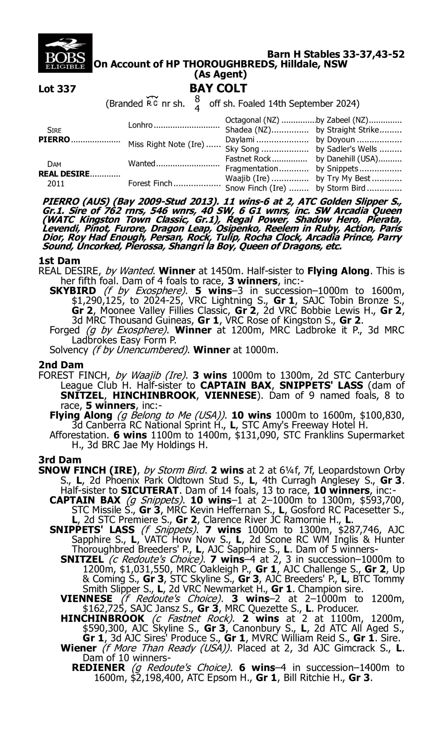 Pedigree for Lot 337 Pierro - Real Desire