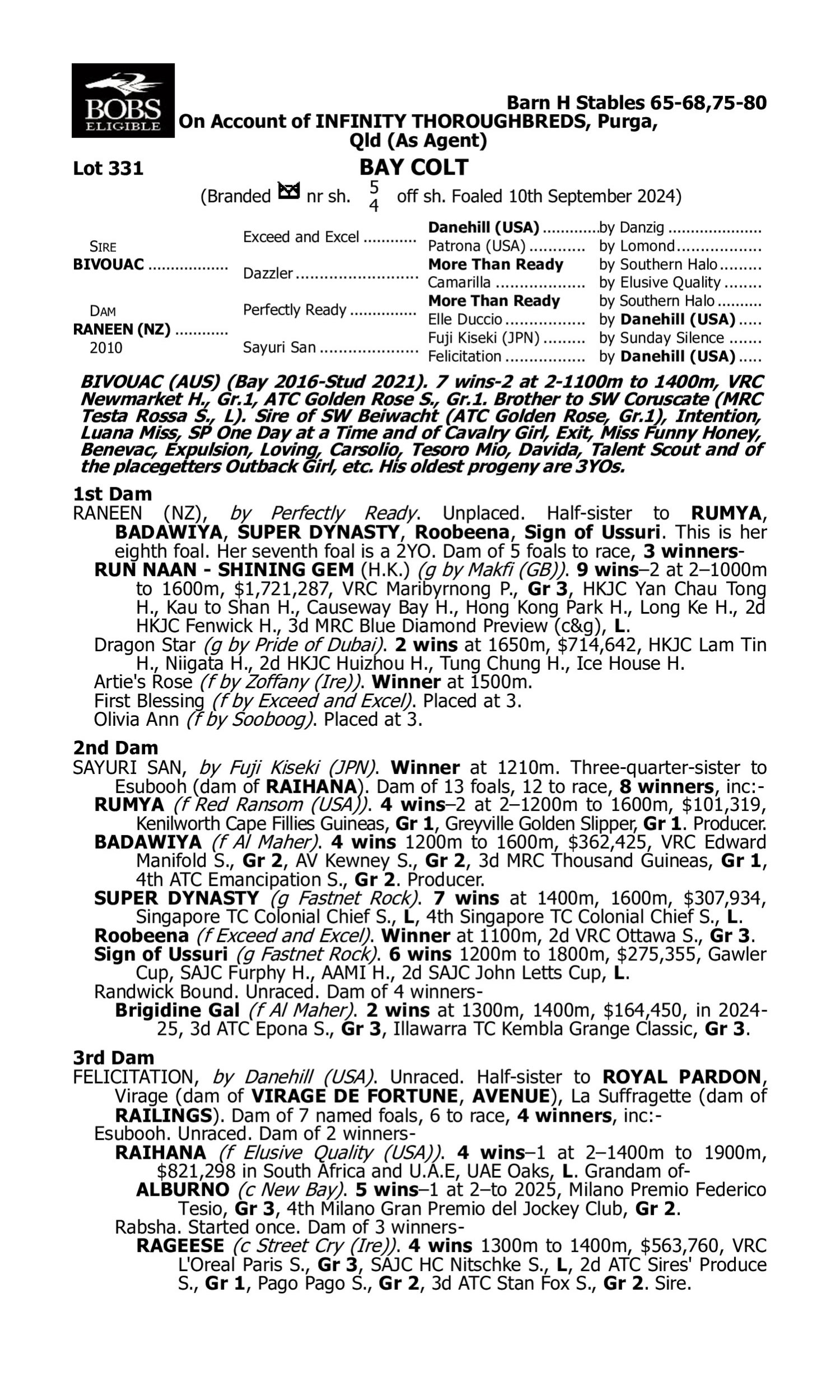 Pedigree for Lot 331 Bivouac - Raneen (NZ)