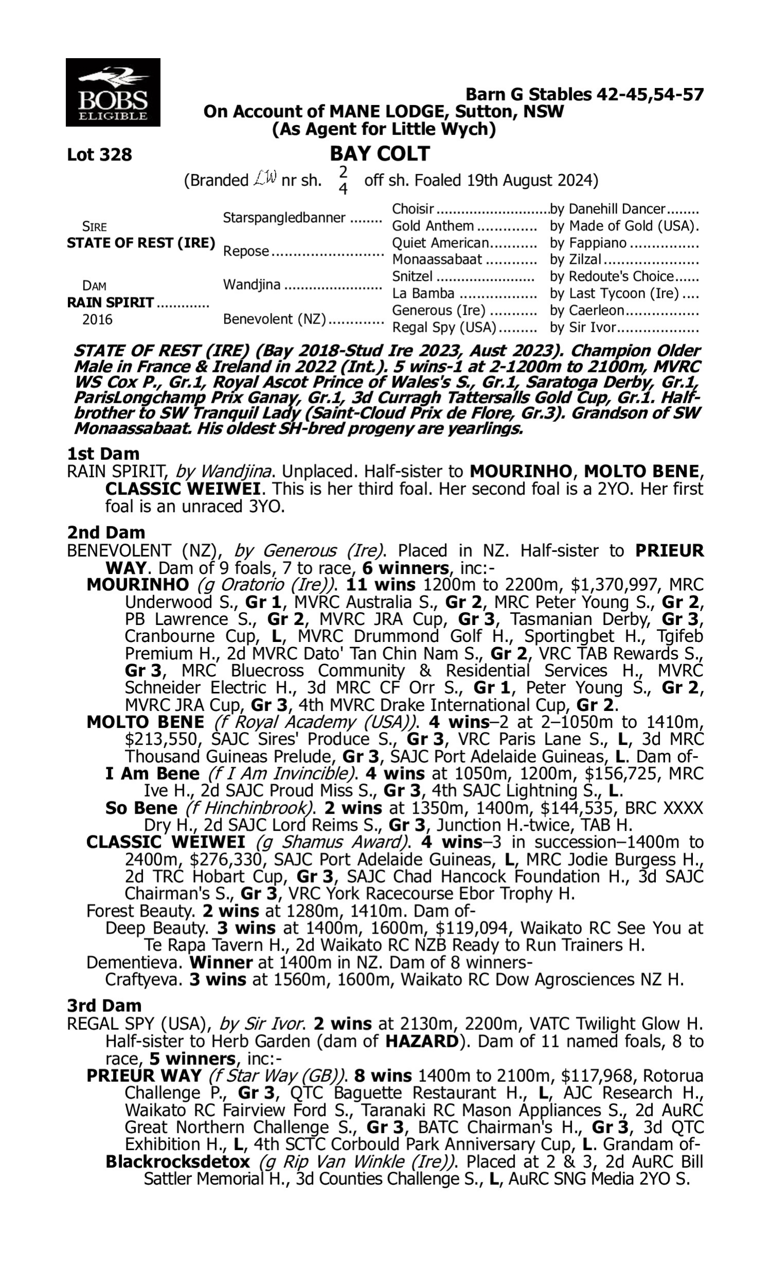 Pedigree for Lot 328 State of Rest (IRE) - Rain Spirit