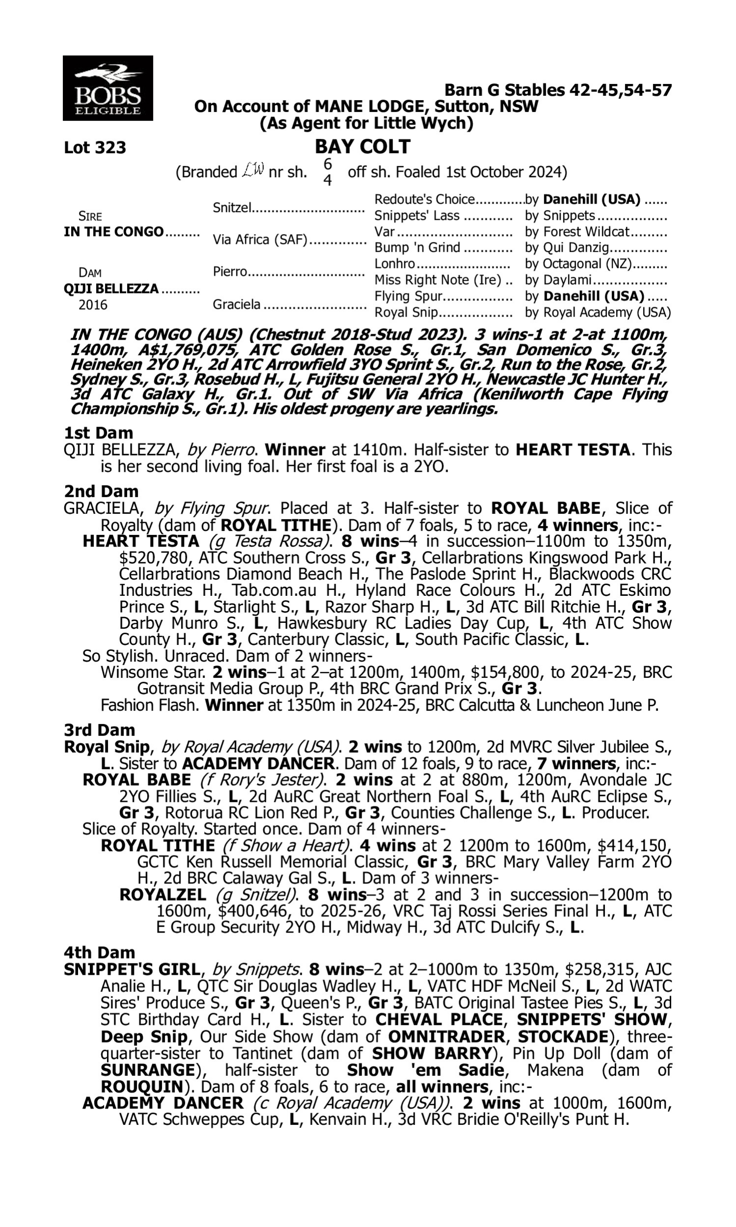 Pedigree for Lot 323 In the Congo - Qiji Bellezza
