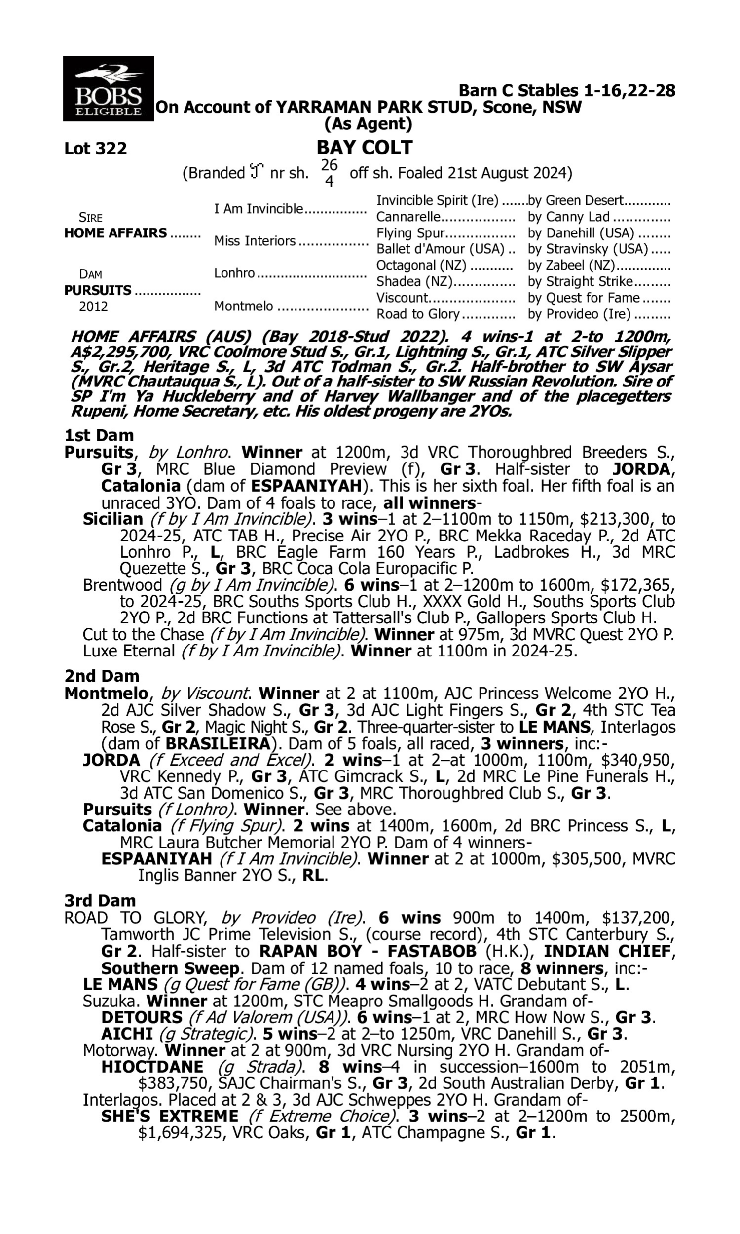 Pedigree for Lot 322 Home Affairs - Pursuits