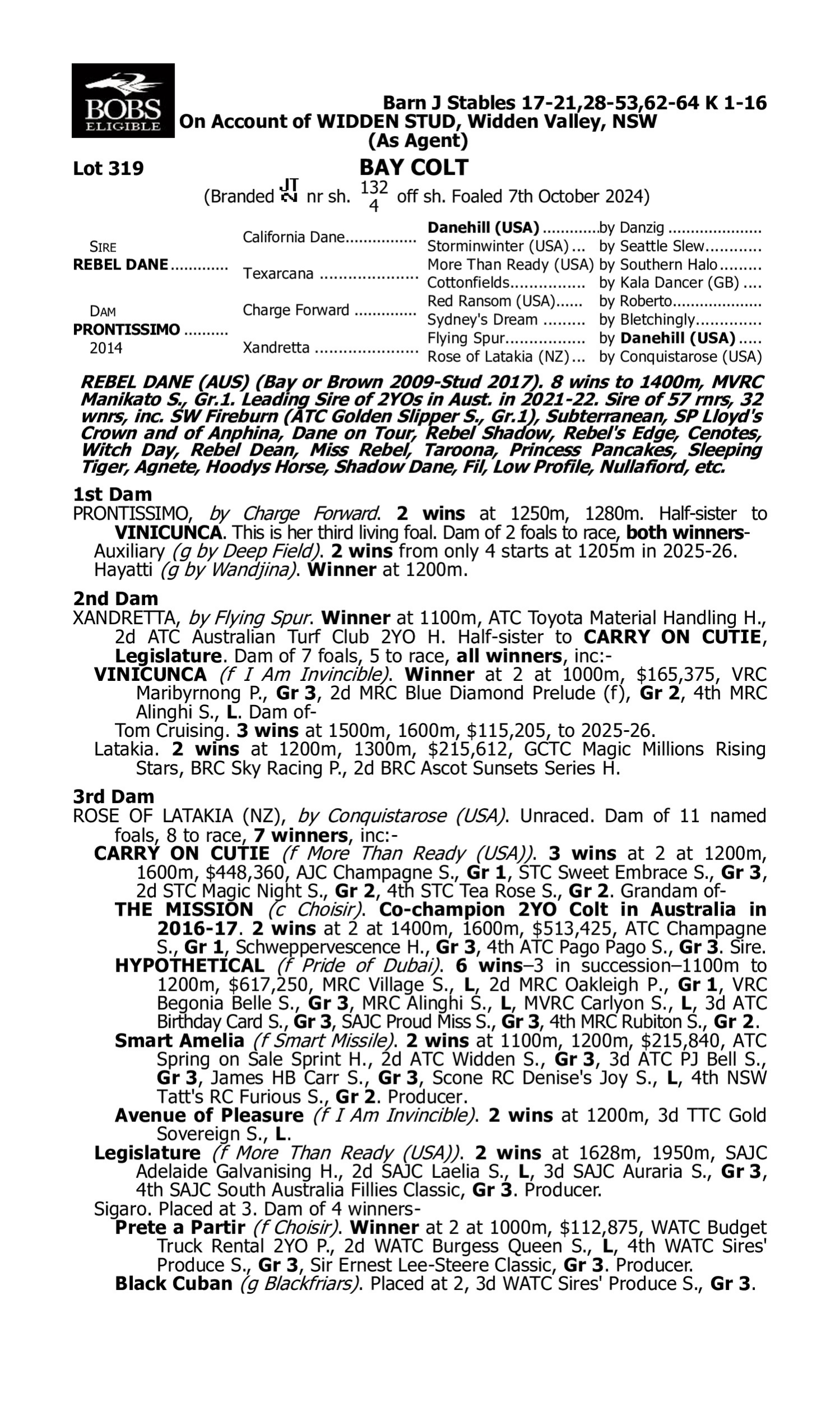 Pedigree for Lot 319 Rebel Dane - Prontissimo