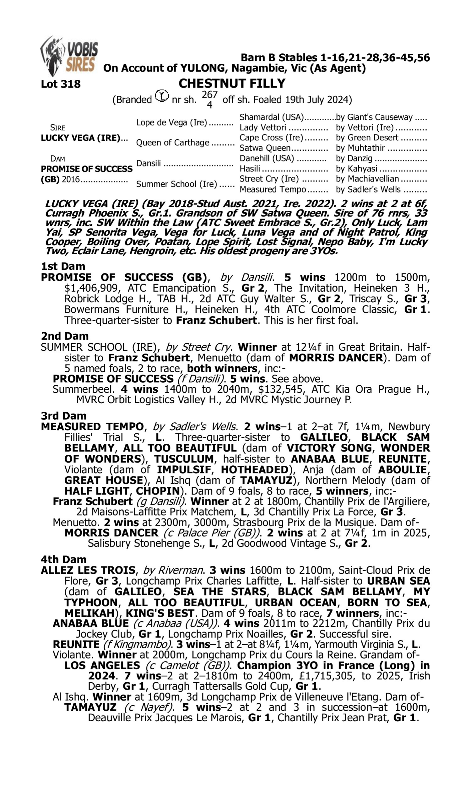 Pedigree for Lot 318 Lucky Vega (IRE) - Promise of Success (GB)