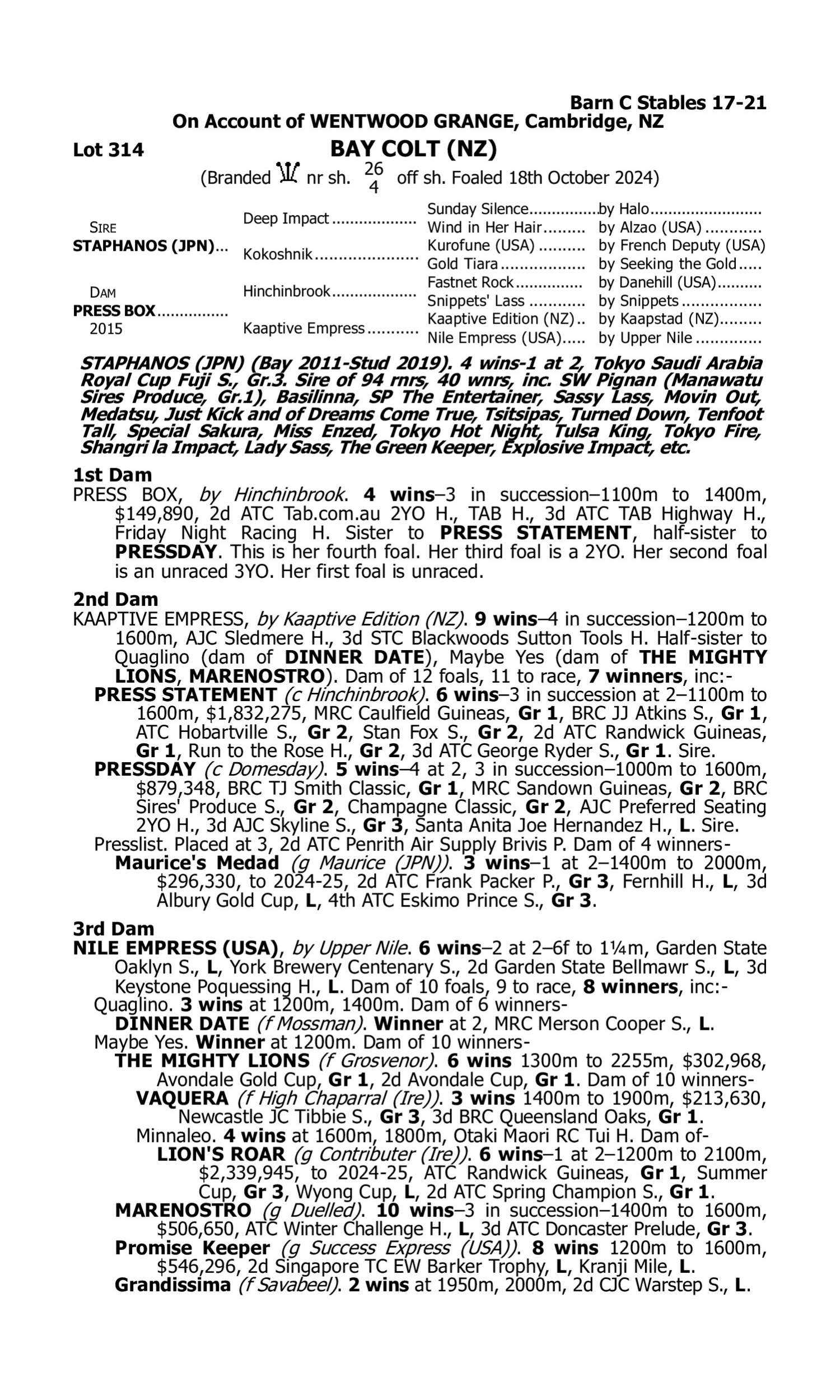 Pedigree for Lot 314 Staphanos (JPN) - Press Box