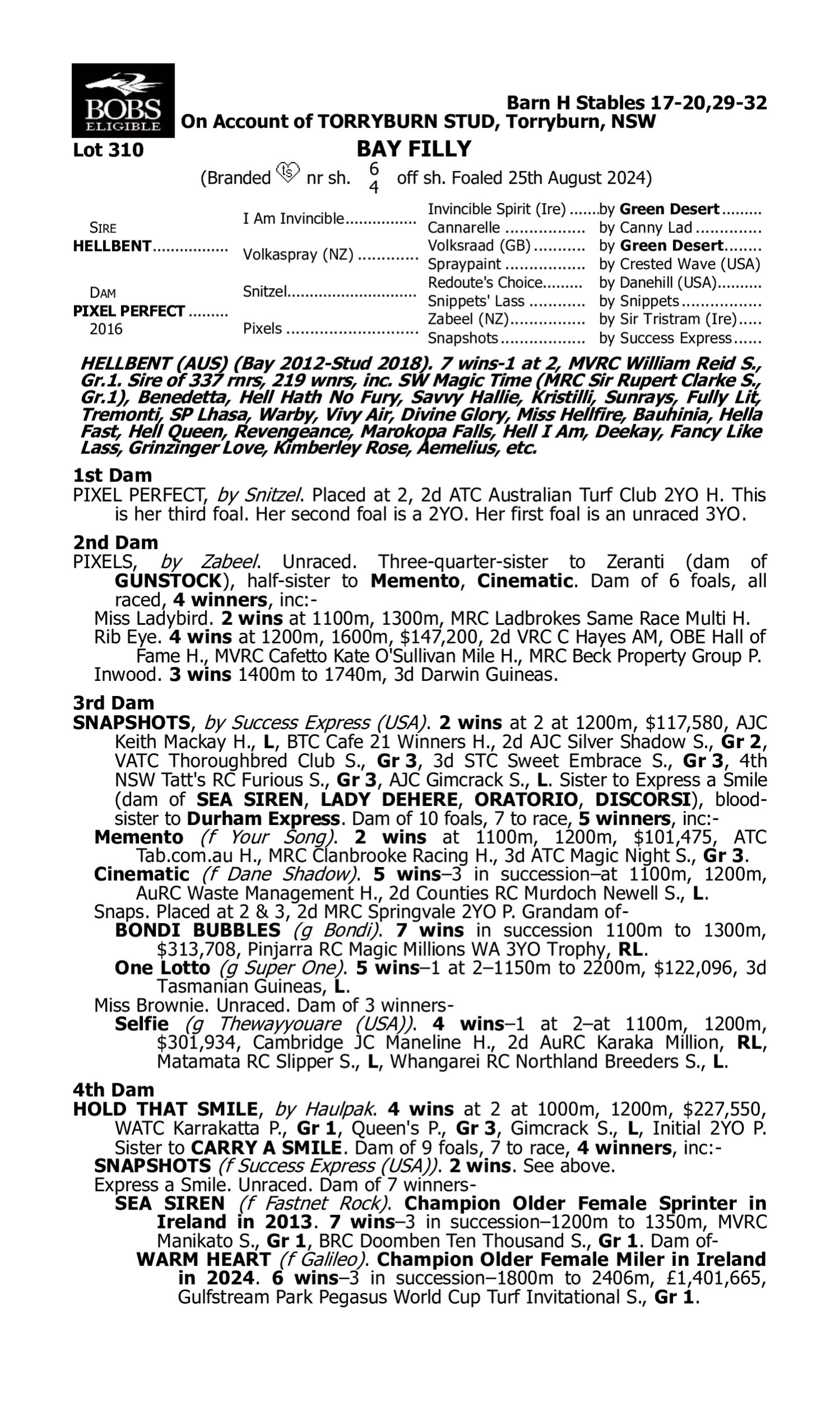 Pedigree for Lot 310 Hellbent - Pixel Perfect