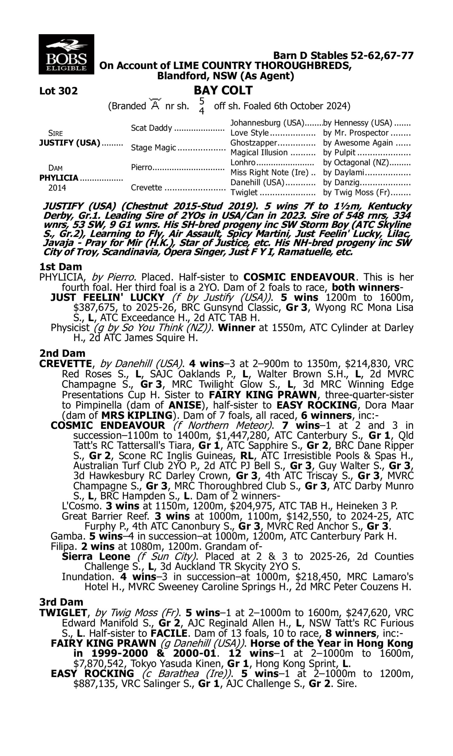 Pedigree for Lot 302 Justify (USA) - Phylicia