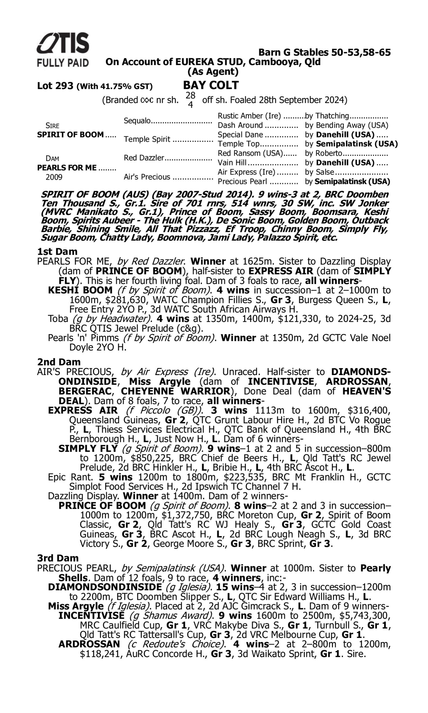 Pedigree for Lot 293 Spirit of Boom - Pearls for Me