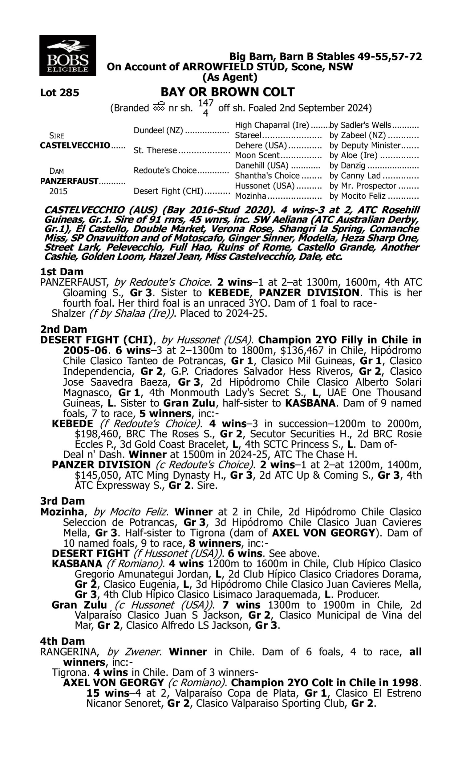 Pedigree for Lot 285 Castelvecchio - Panzerfaust