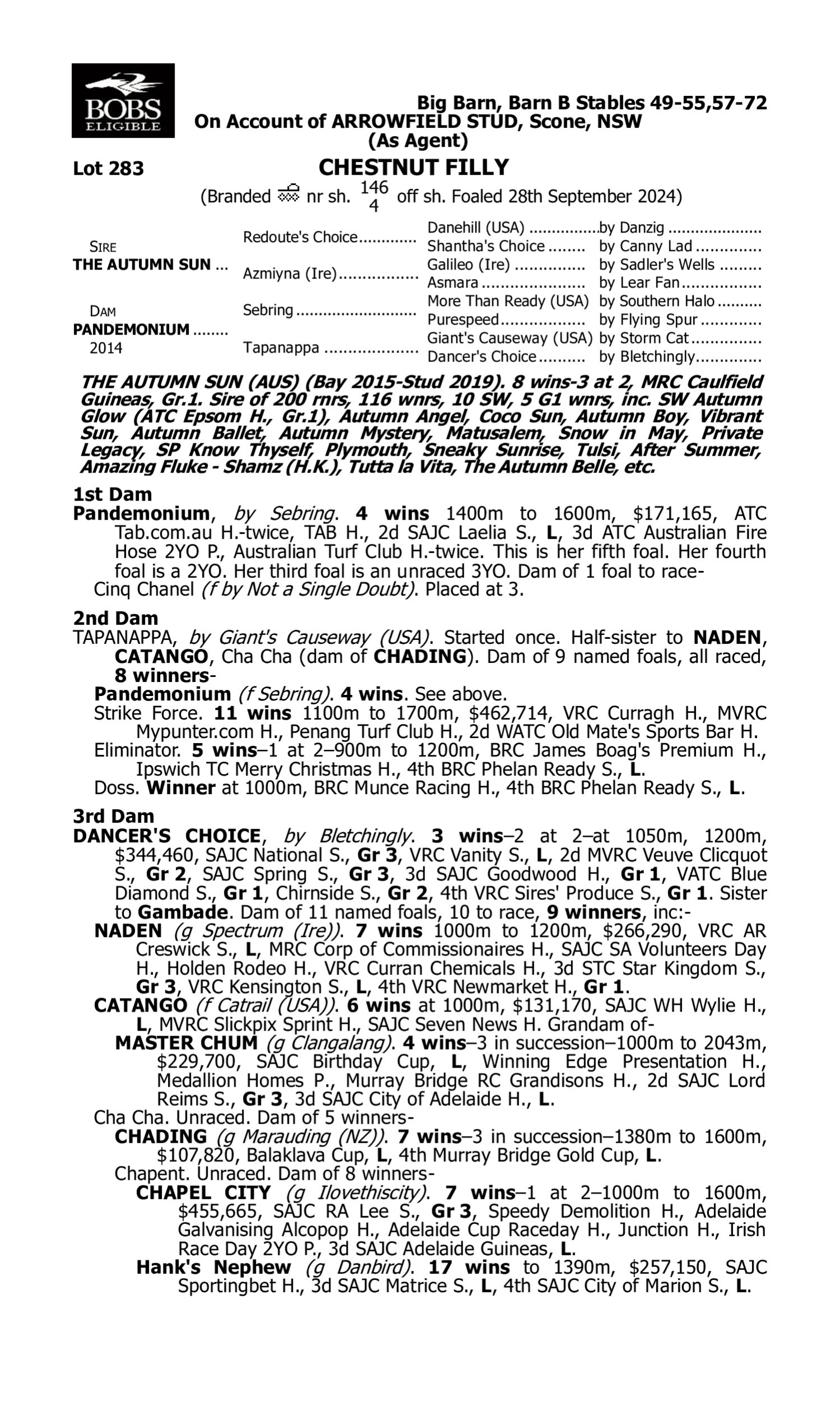 Pedigree for Lot 283 The Autumn Sun - Pandemonium