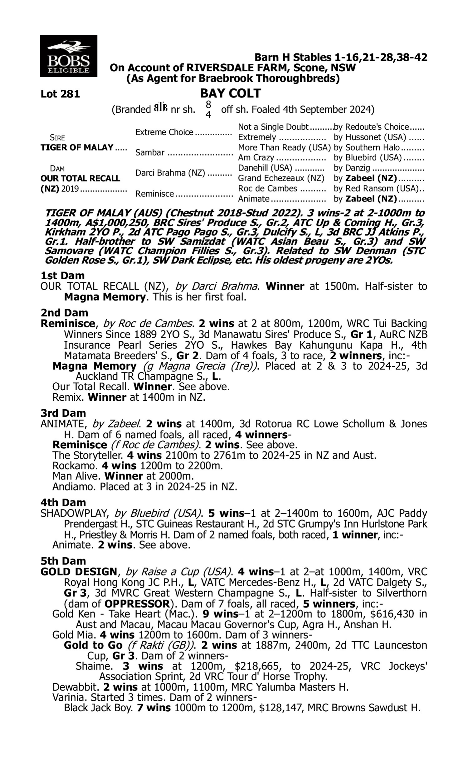 Pedigree for Lot 281 Tiger of Malay - Our Total Recall (NZ)