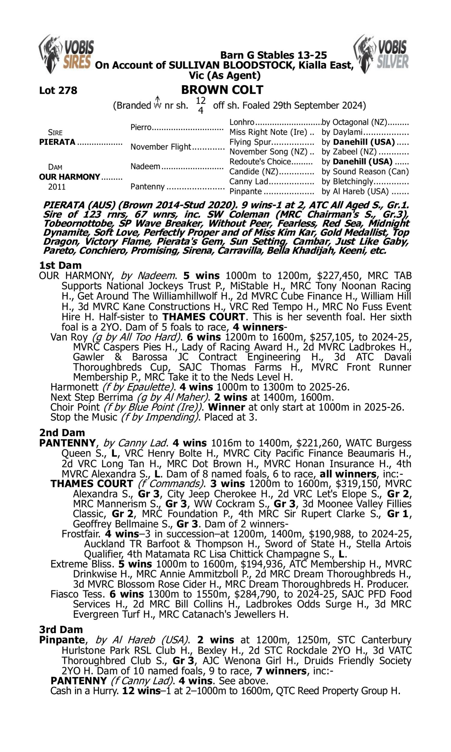 Pedigree for Lot 278 Pierata - Our Harmony
