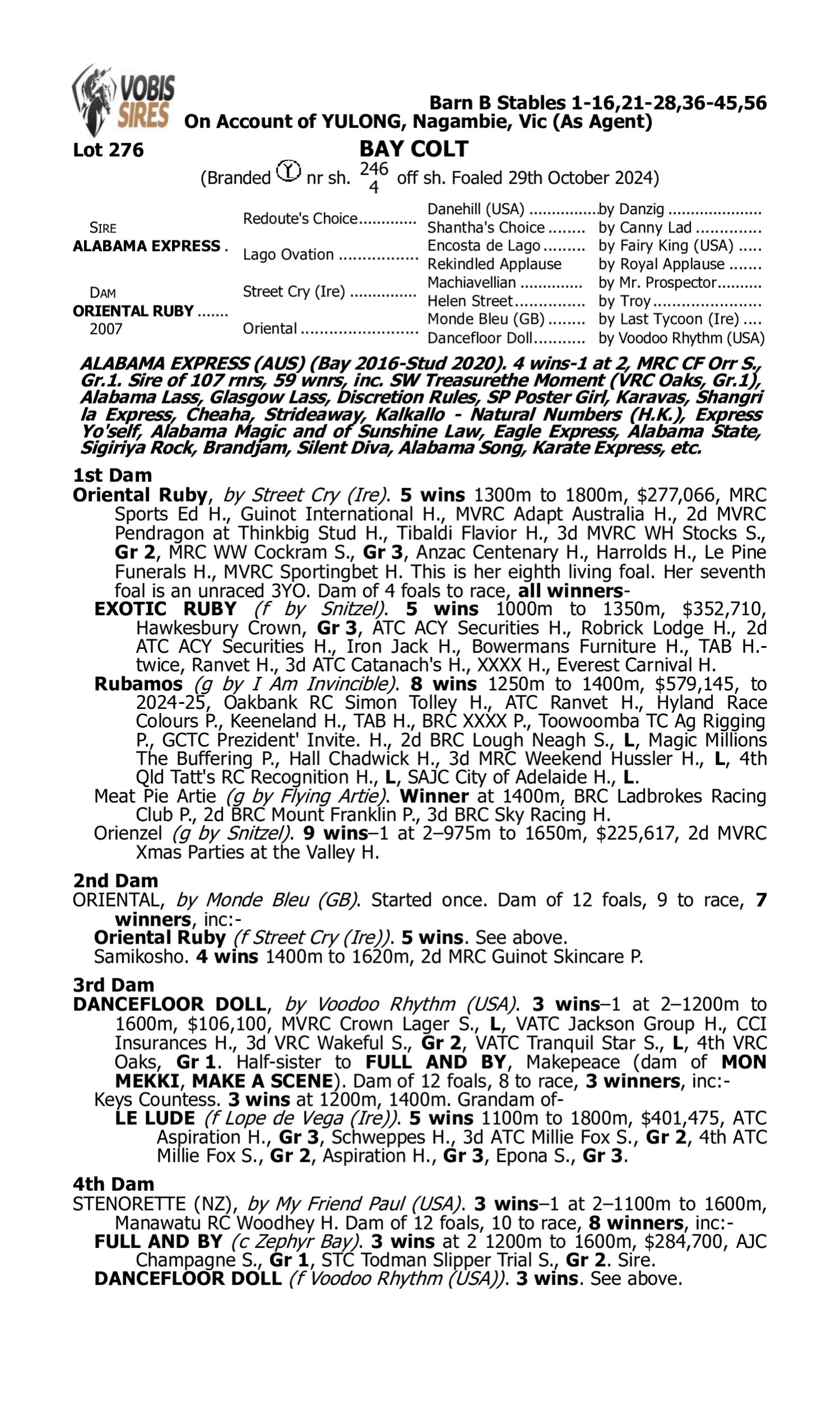 Pedigree for Lot 276 Alabama Express - Oriental Ruby