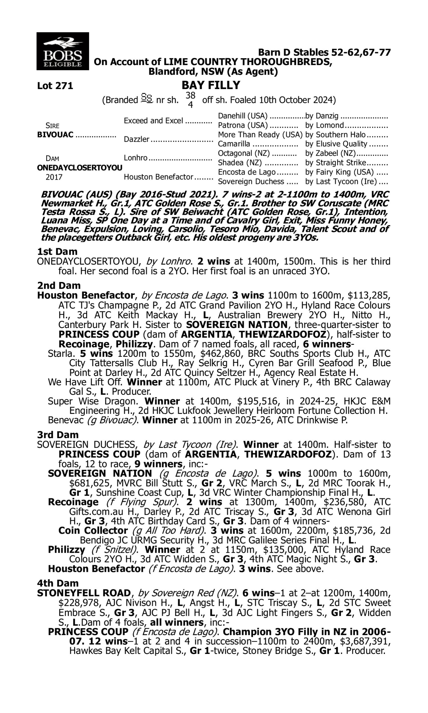 Pedigree for Lot 271 Bivouac - Onedayclosertoyou