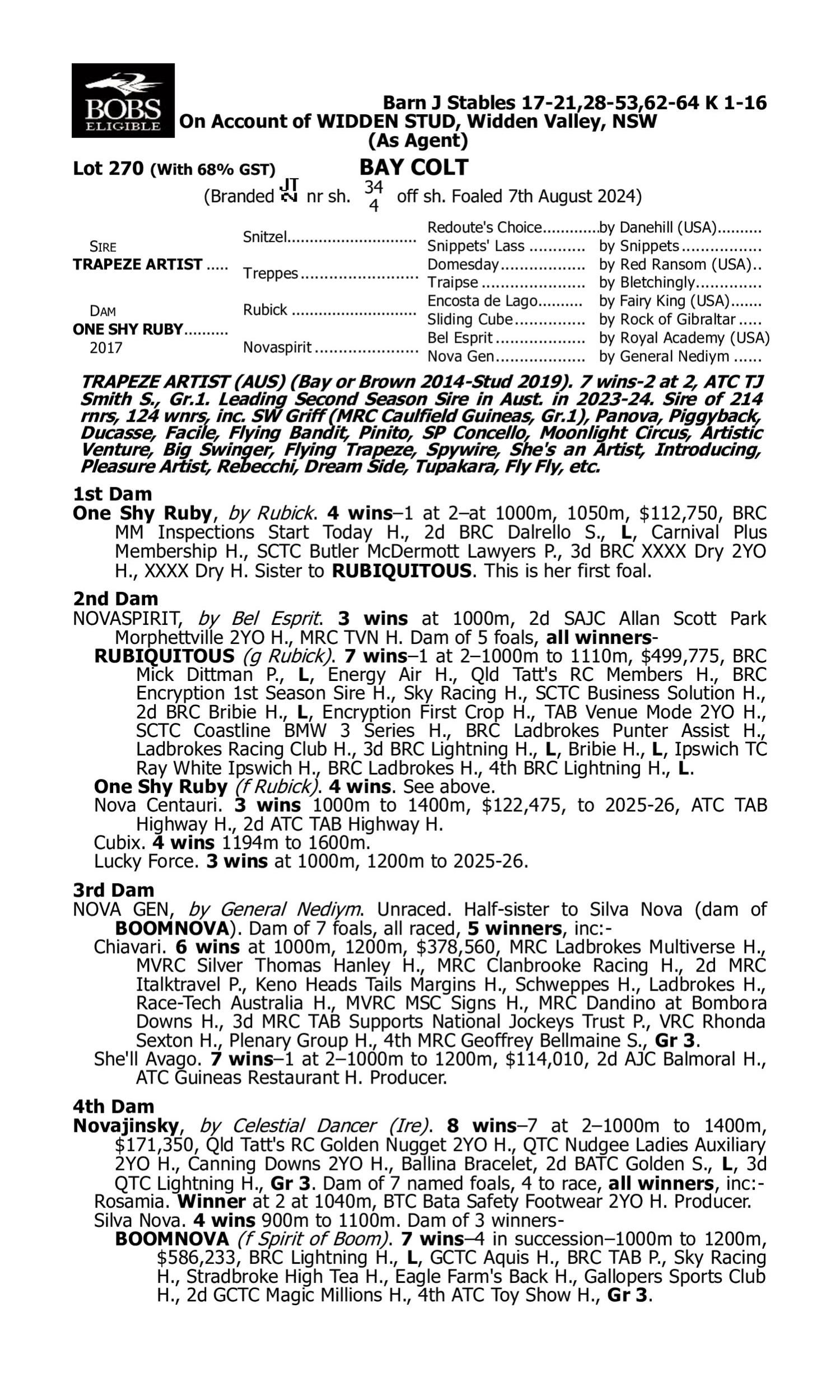 Pedigree for Lot 270 Trapeze Artist - One Shy Ruby