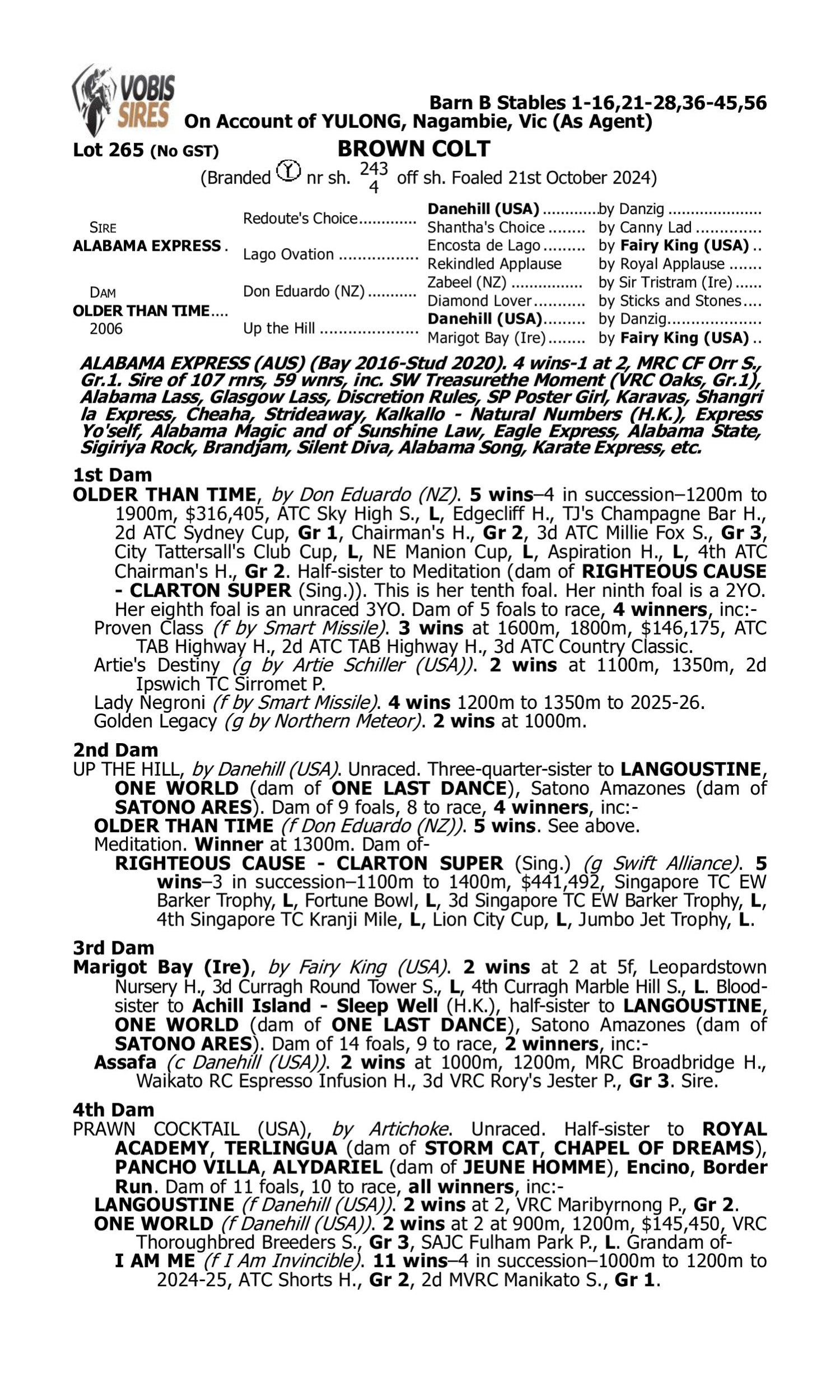 Pedigree for Lot 265 Alabama Express - Older Than Time