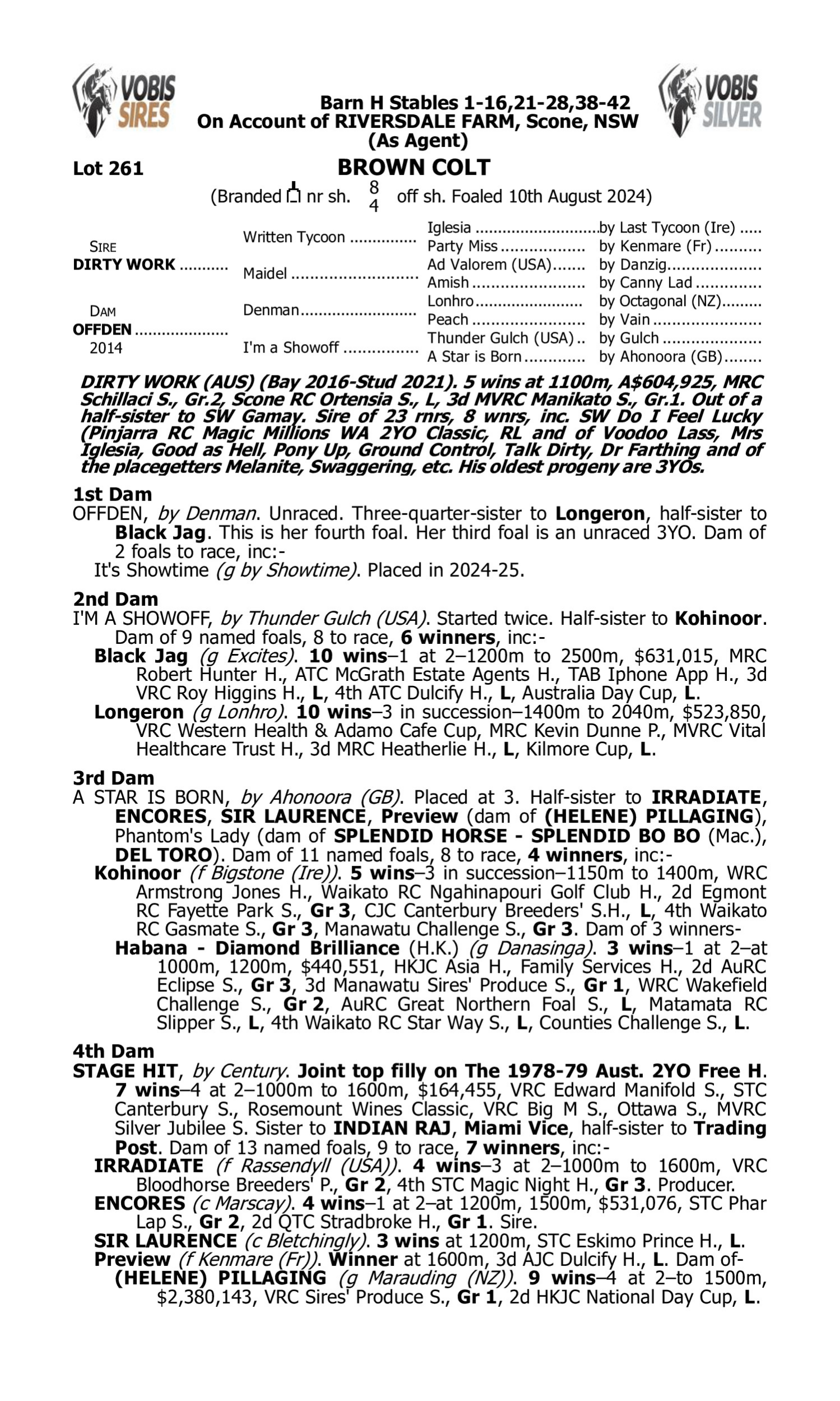 Pedigree for Lot 261 Dirty Work - Offden